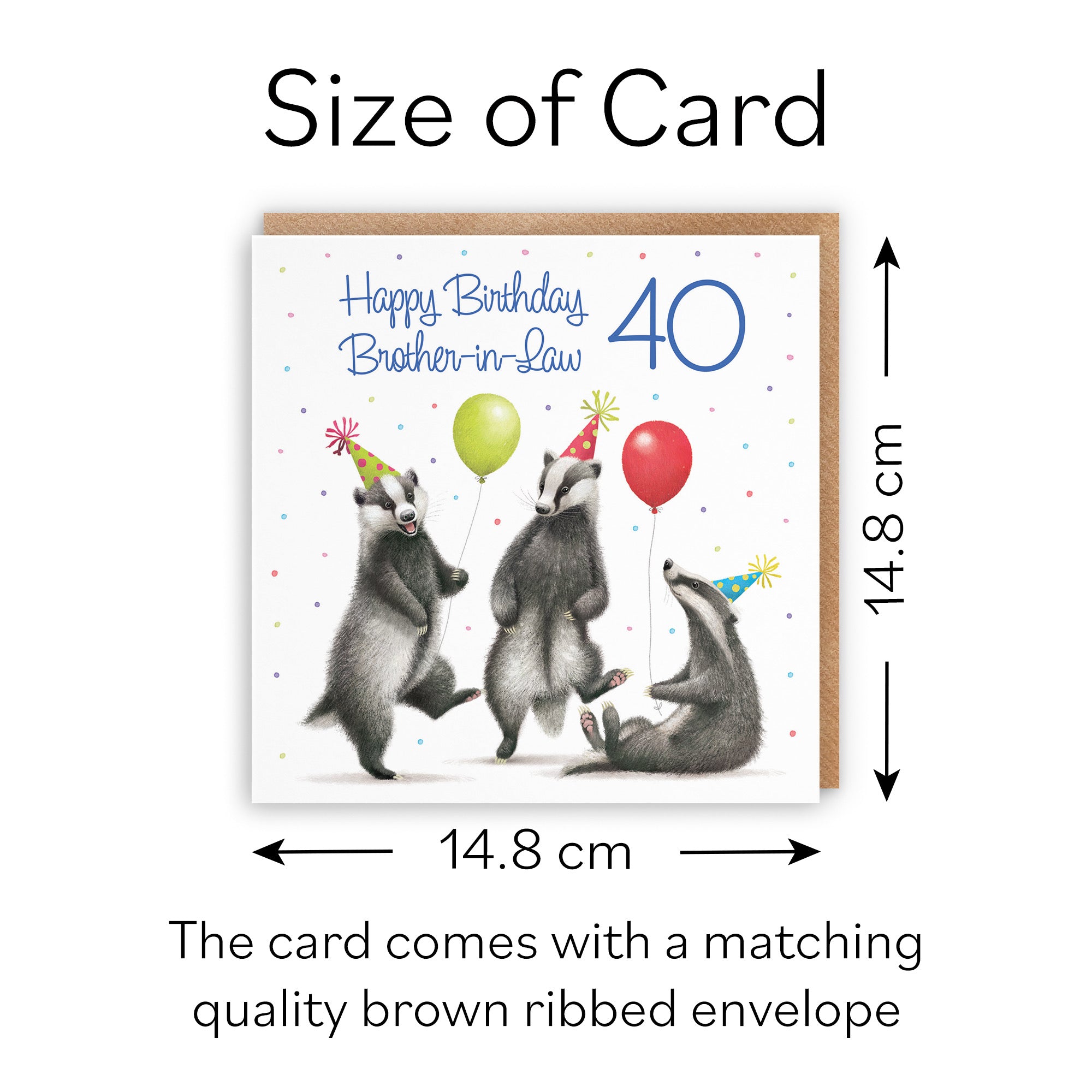 40th Brother In Law Badgers Birthday Card Milo's Gallery - Default Title (B0CRXTCG11)