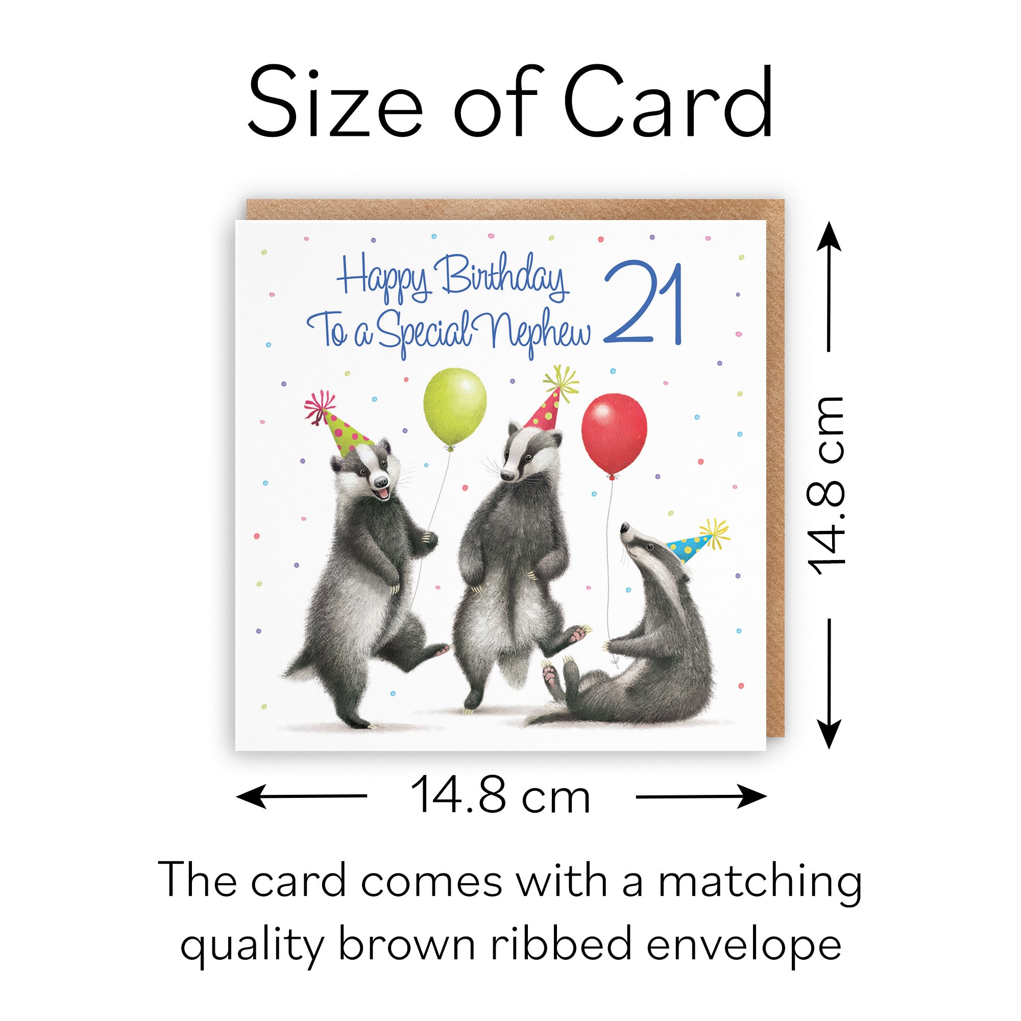 21st Nephew Badgers Birthday Card Milo's Gallery - Default Title (B0CRXTG8MP)