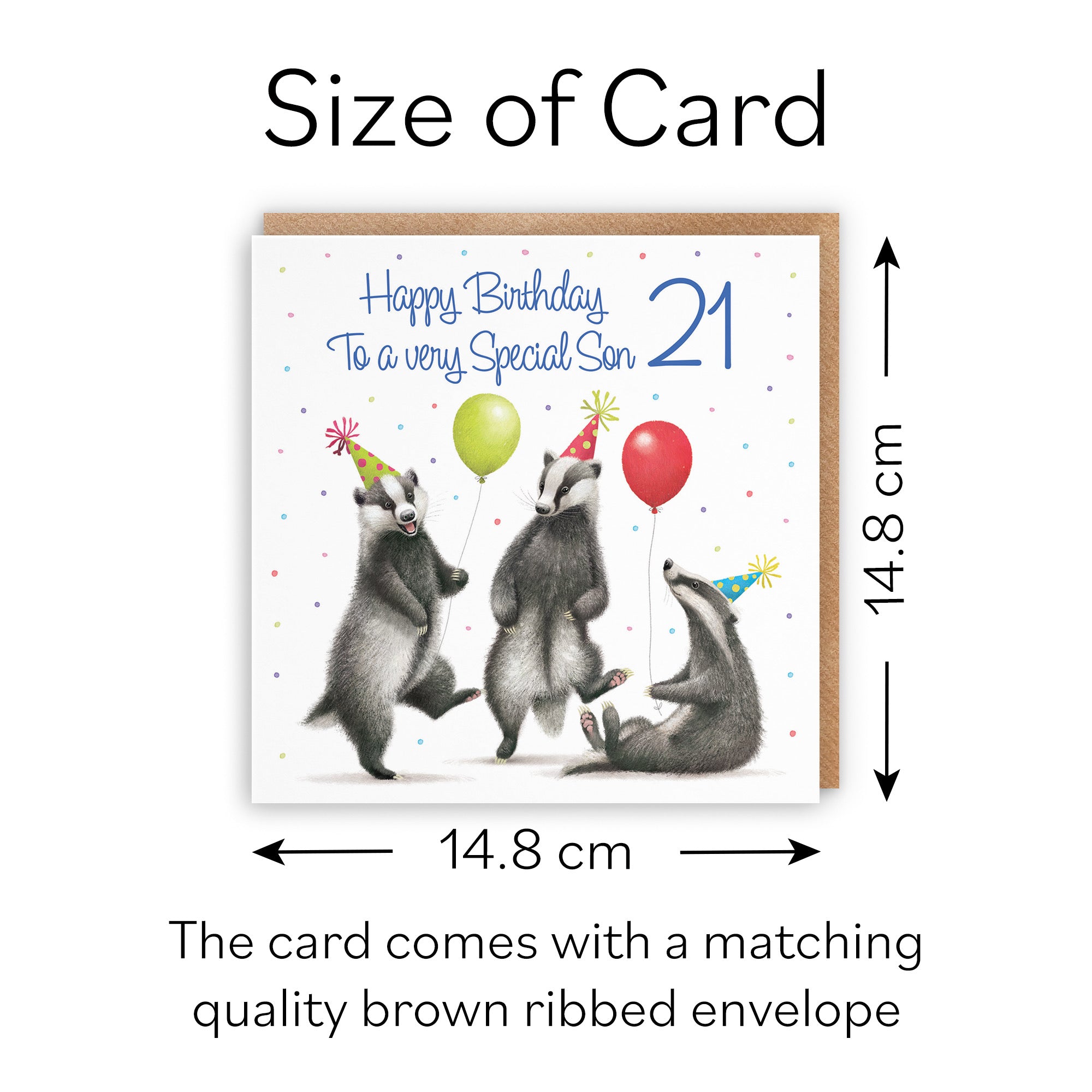 21st Son Badgers Birthday Card Milo's Gallery - Default Title (B0CRXTJVP3)