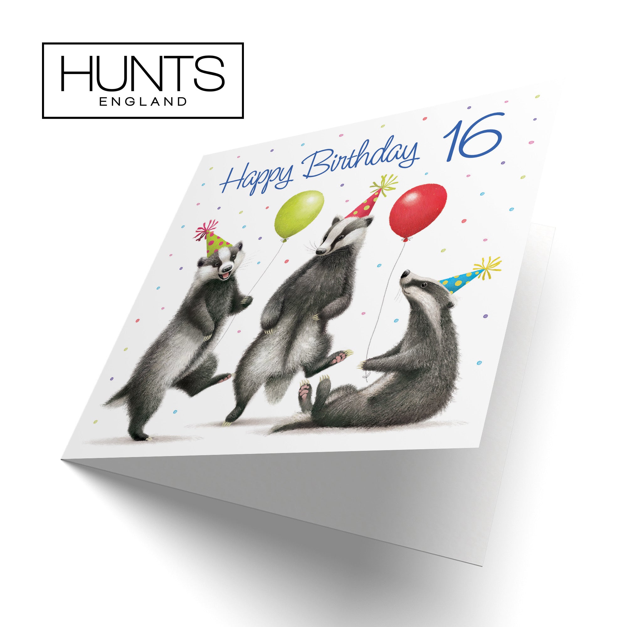 Badgers 16th Birthday Card Milo's Gallery - Default Title (B0CRXTTX3P)