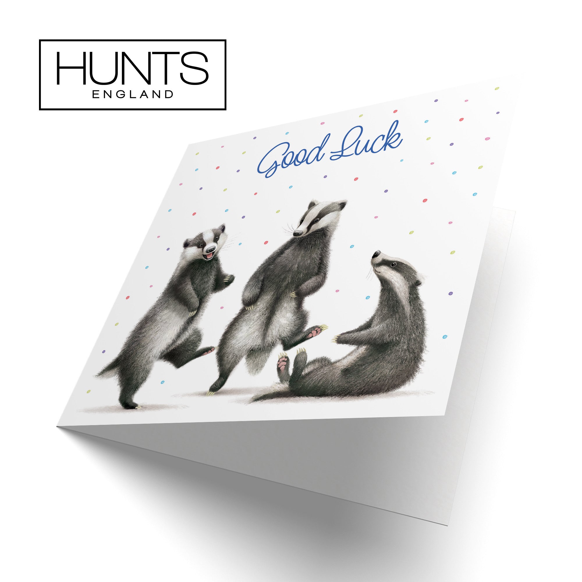 Badgers Good Luck Card Milo's Gallery - Default Title (B0CRXVDRKN)