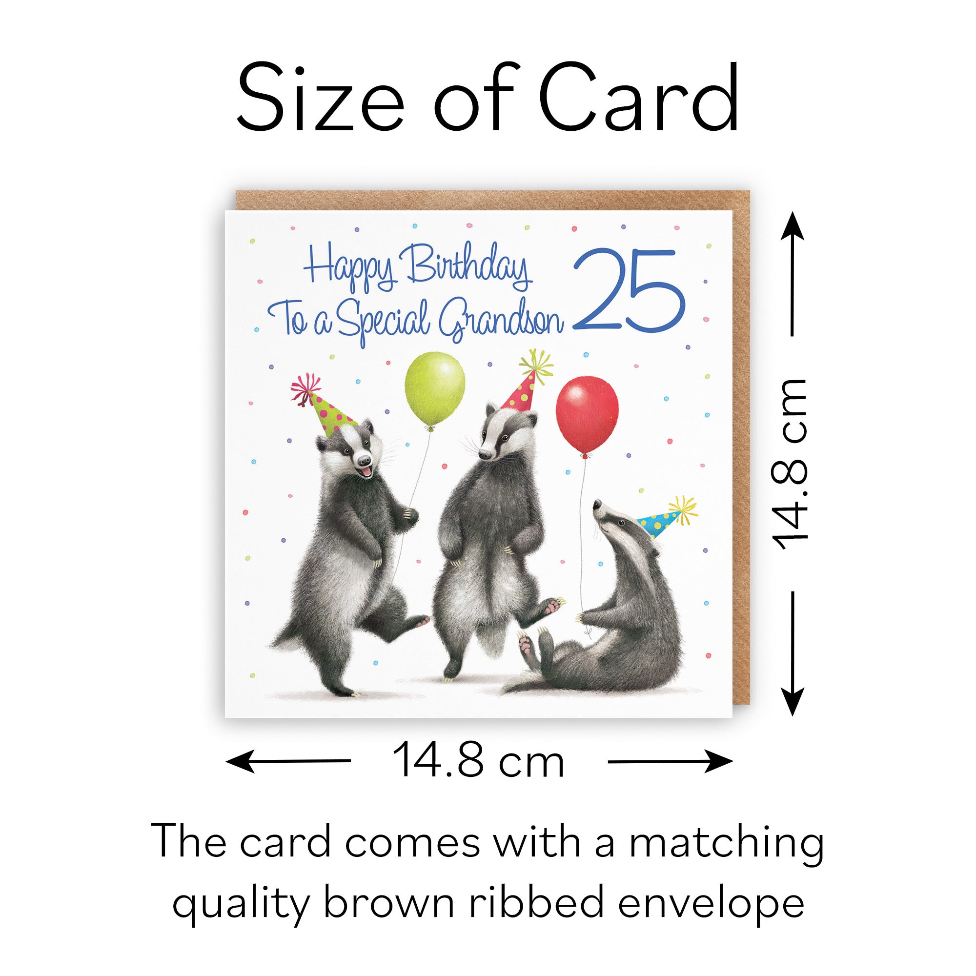 25th Grandson Badgers Birthday Card Milo's Gallery - Default Title (B0CRXZV61C)