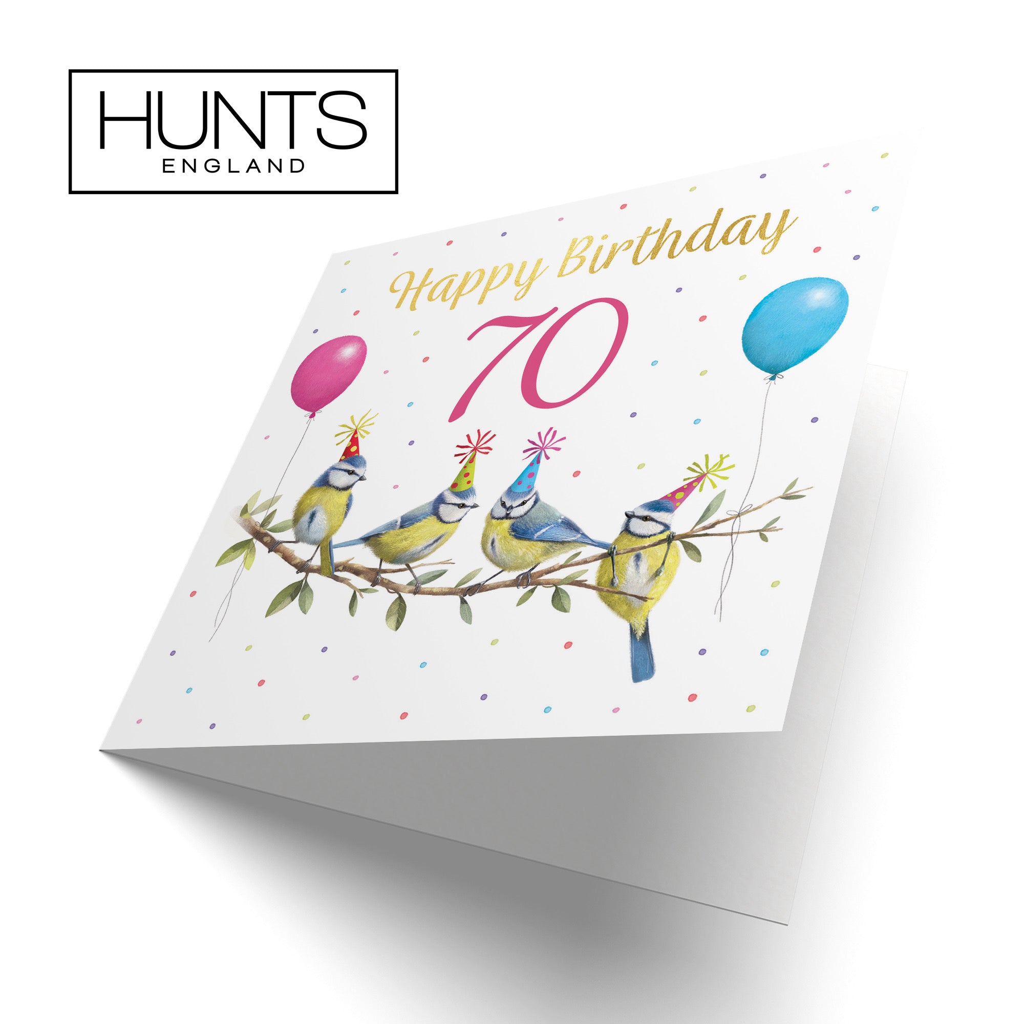 Blue Tits 70th Birthday Card Gold Foil Milo's Gallery - Default Title (B0CV9DQ4WR)