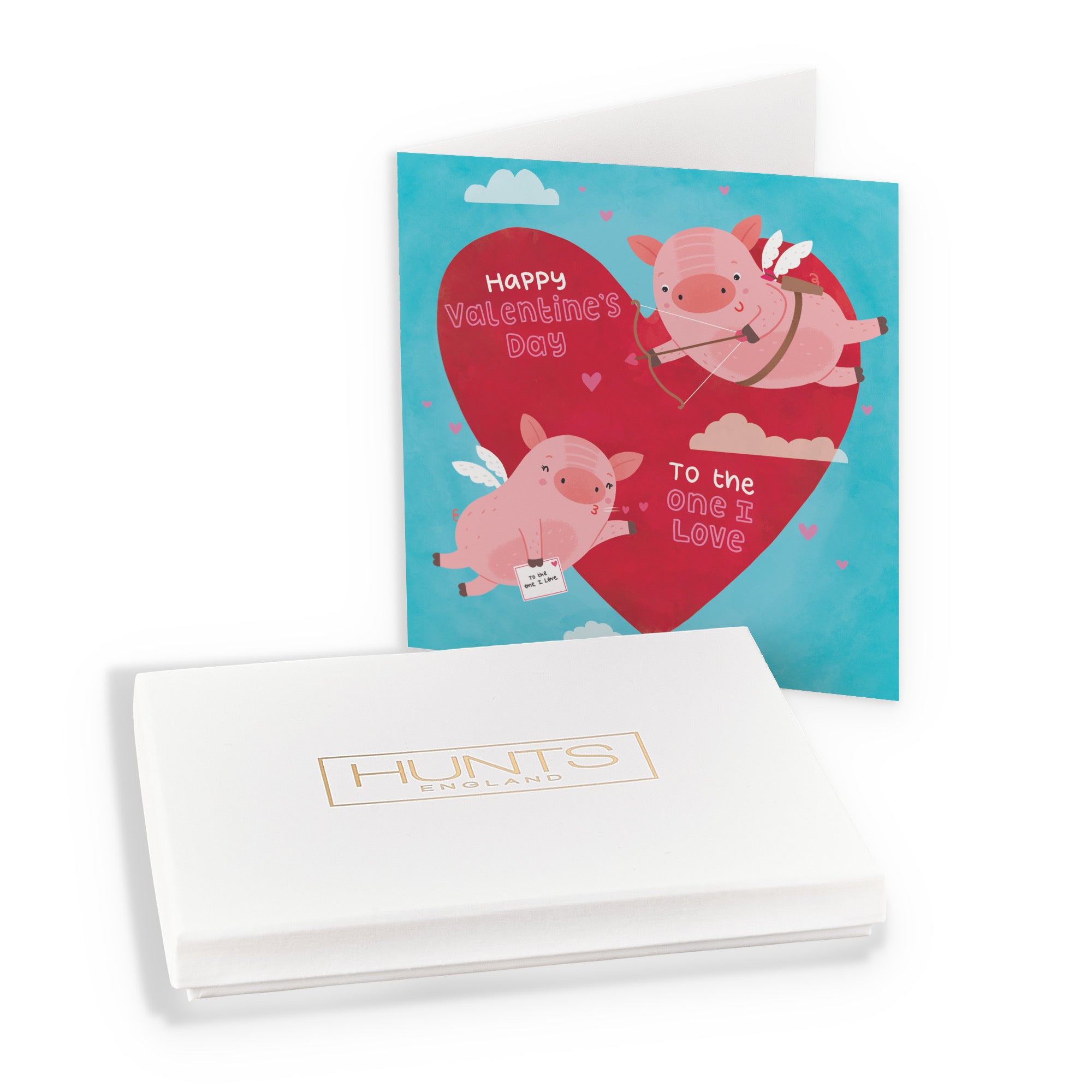 Boxed Cute Flying Pigs Valentine's Day Card Iconic - Default Title (B0D4ZKXYTC)