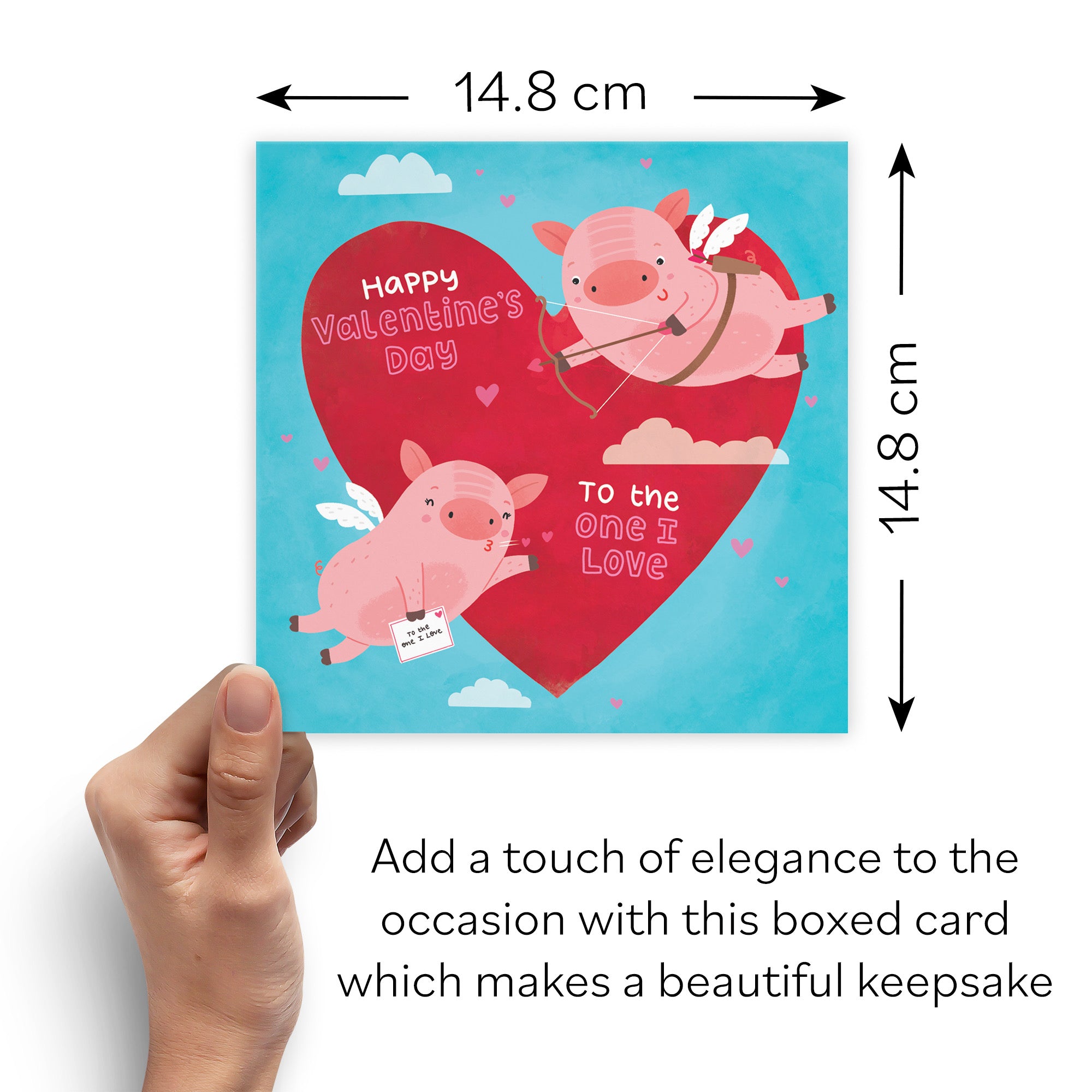 Boxed Cute Flying Pigs Valentine's Day Card Iconic - Default Title (B0D4ZKXYTC)