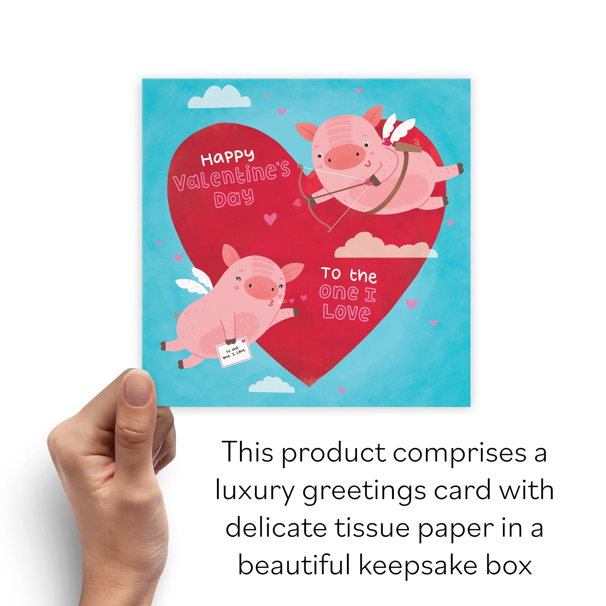 Boxed Cute Flying Pigs Valentine's Day Card Iconic - Default Title (B0D4ZKXYTC)