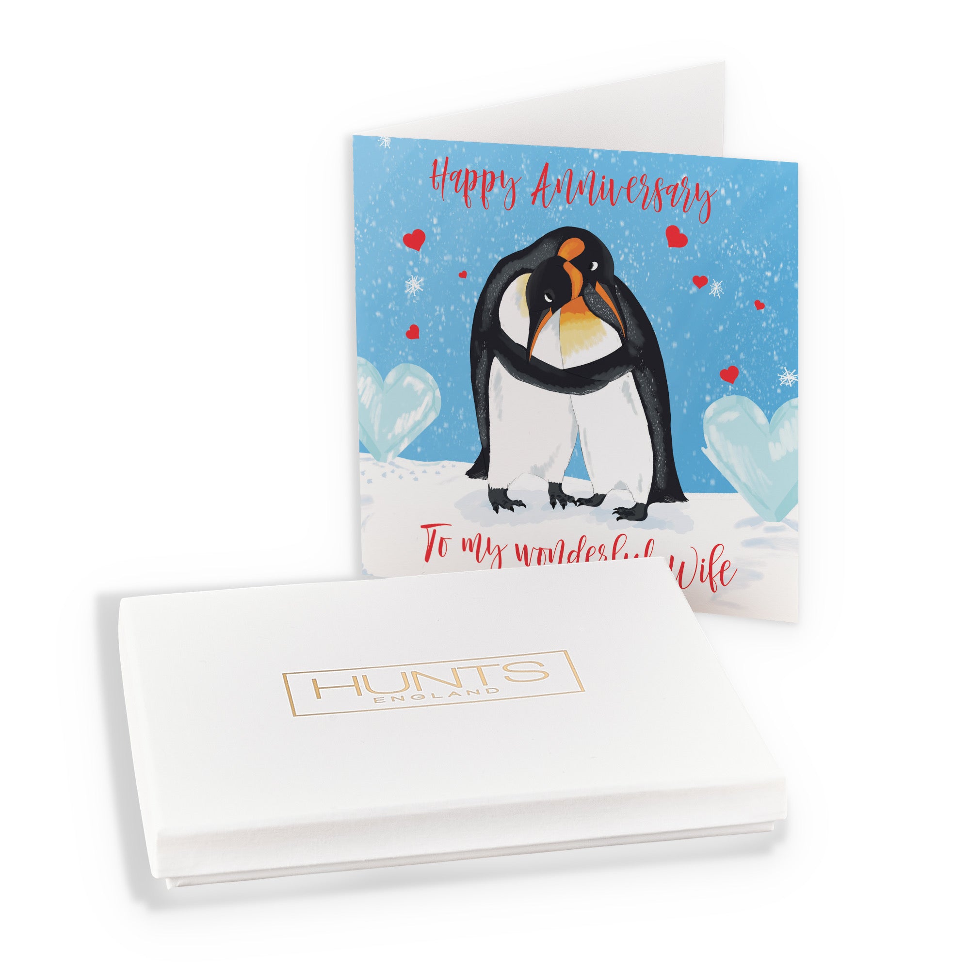 Boxed Wife Penguins Anniversary Card Cute Animals - Default Title (B0D4ZLHCRY)