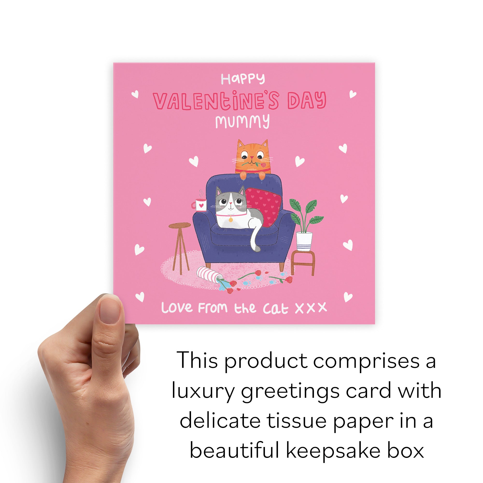 Boxed Mummy Valentine's Day Card From The Cat Iconic - Default Title (B0D4ZLJN76)