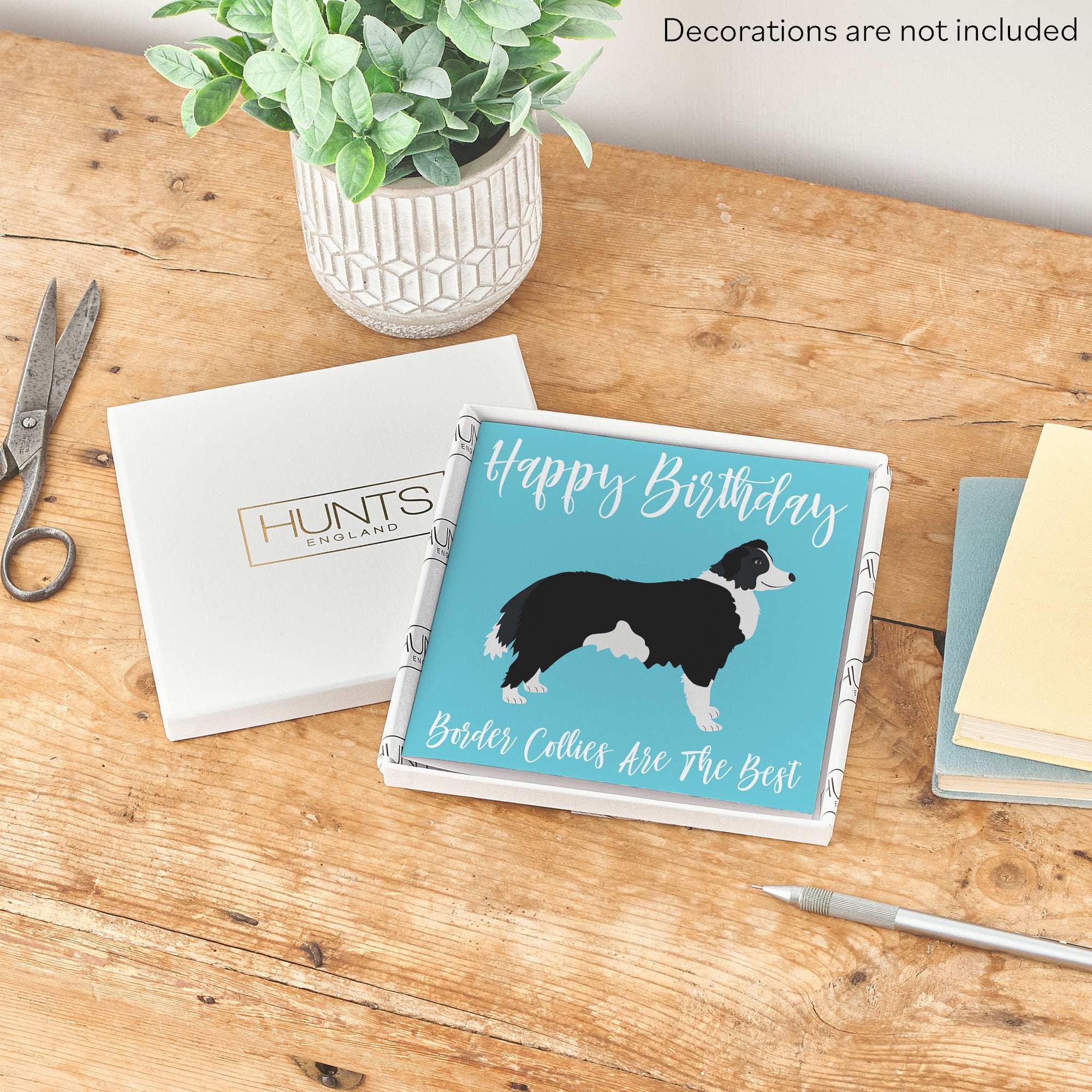 Boxed Border Collie Birthday Card Iconic - Default Title (B0D4ZNFJ1K)