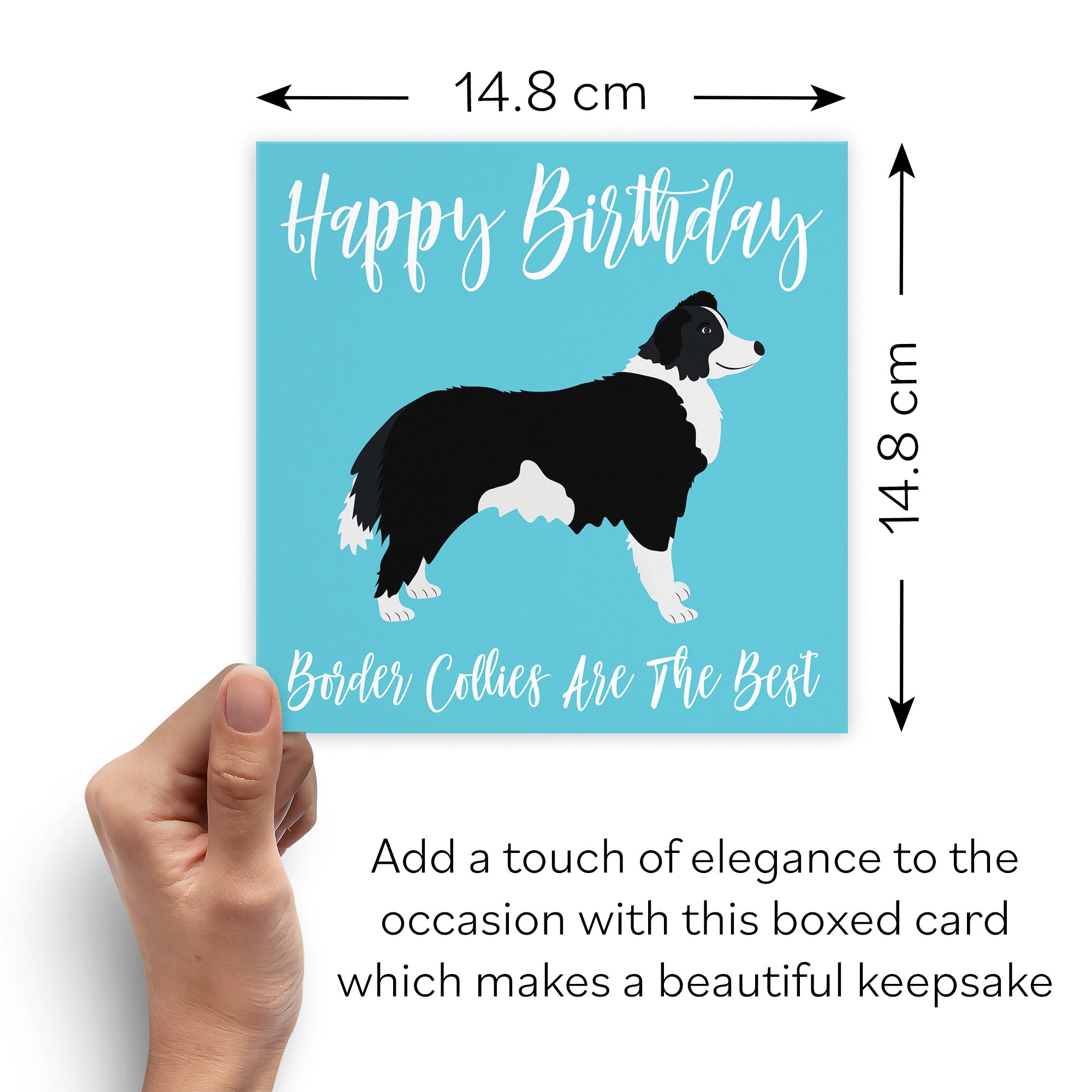 Boxed Border Collie Birthday Card Iconic - Default Title (B0D4ZNFJ1K)