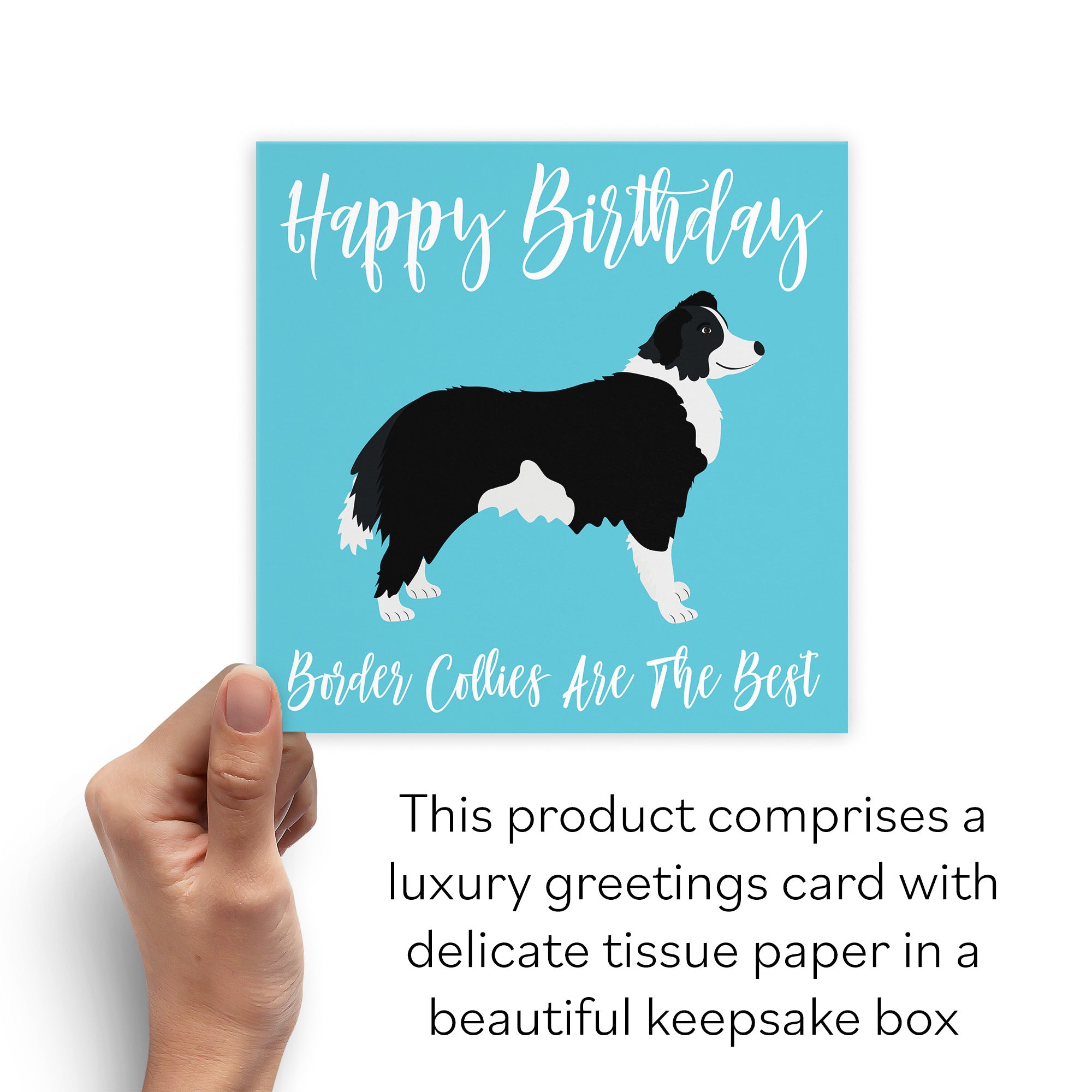 Boxed Border Collie Birthday Card Iconic - Default Title (B0D4ZNFJ1K)