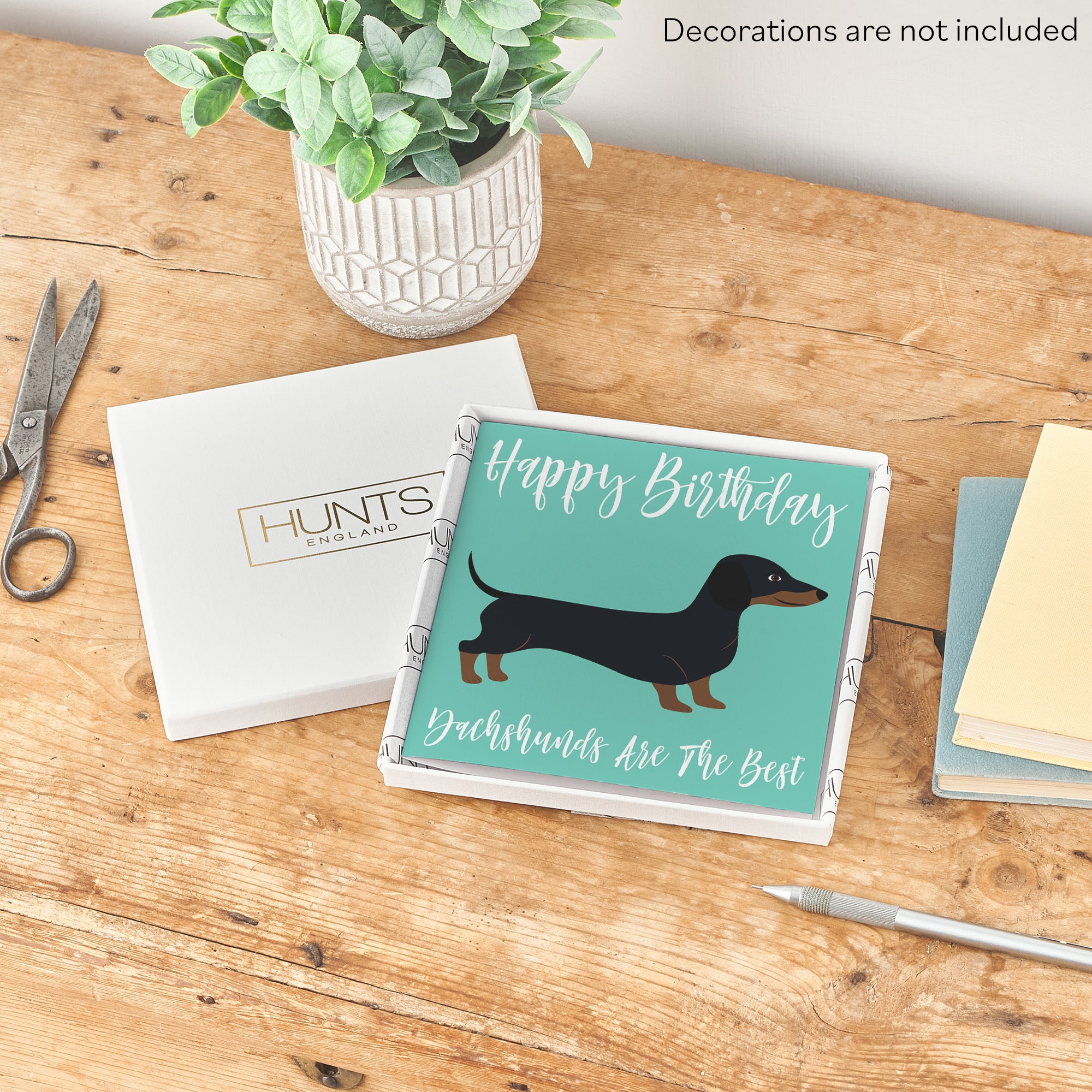 Boxed Dachshund Dog Birthday Card Iconic - Default Title (B0D4ZQNTZJ)