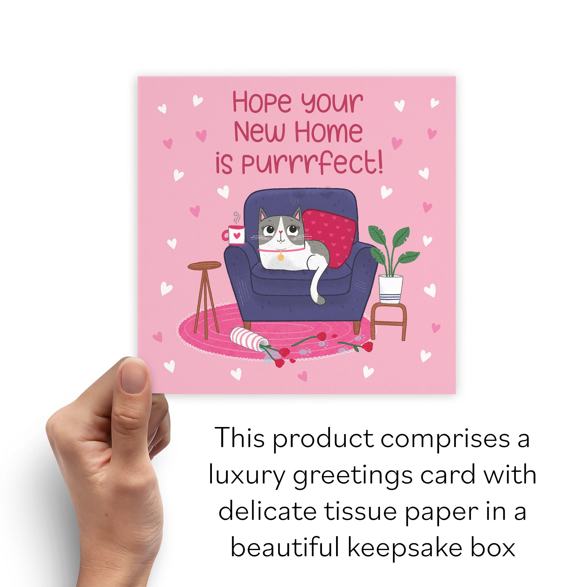 Boxed New Home Cute Cat Card Iconic - Default Title (B0D4ZVYH1G)