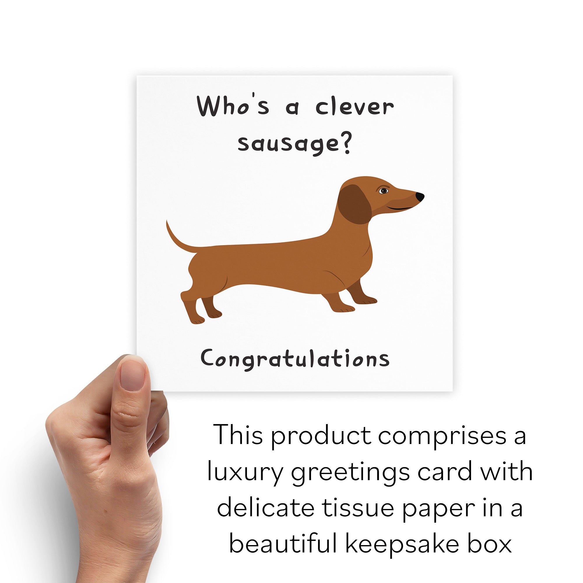 Boxed Clever Sausage Congratulations Card Iconic - Default Title (B0D51197CS)