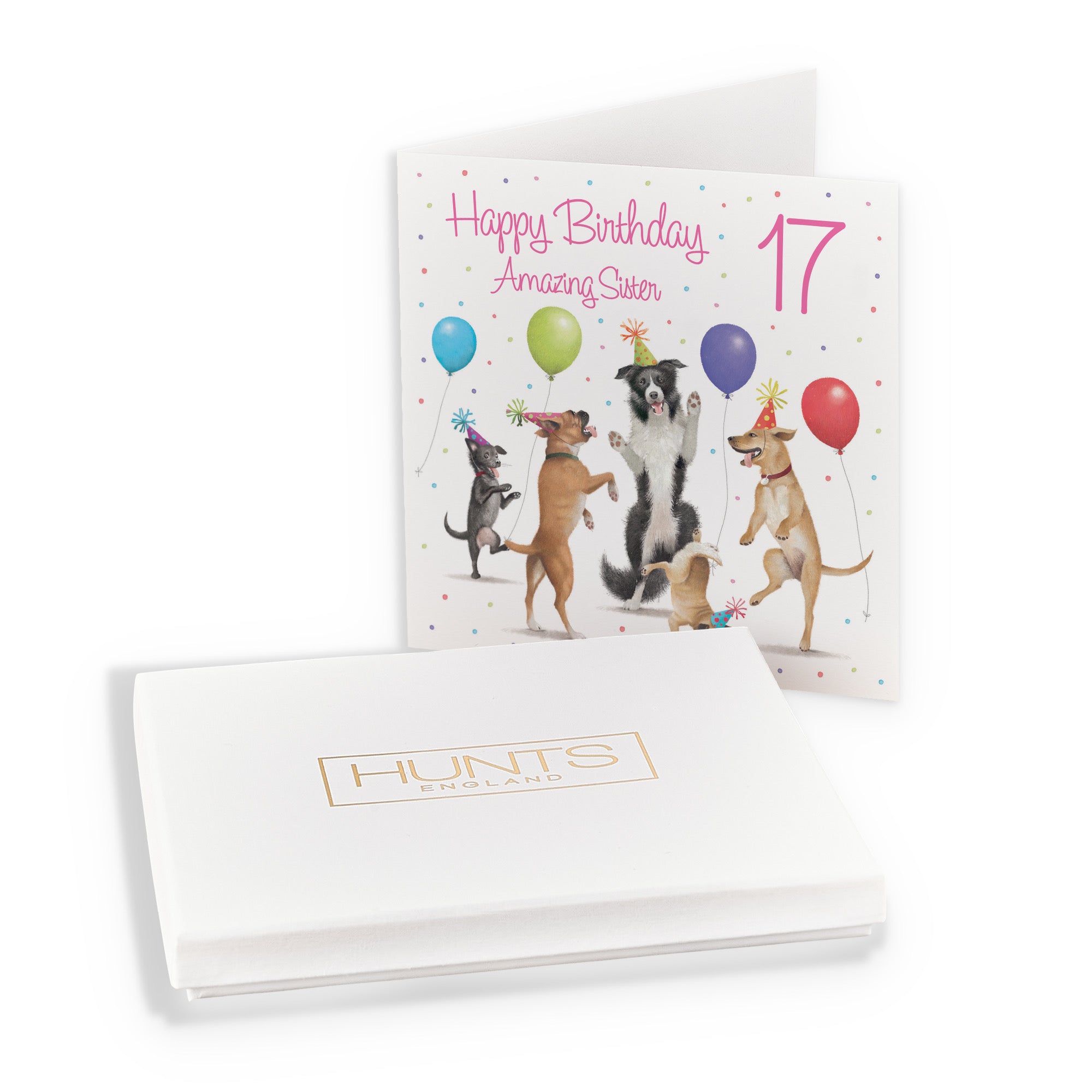 Boxed 17th Sister Birthday Card Dancing Dogs Milo's Gallery - Default Title (B0D5R7DBLP)