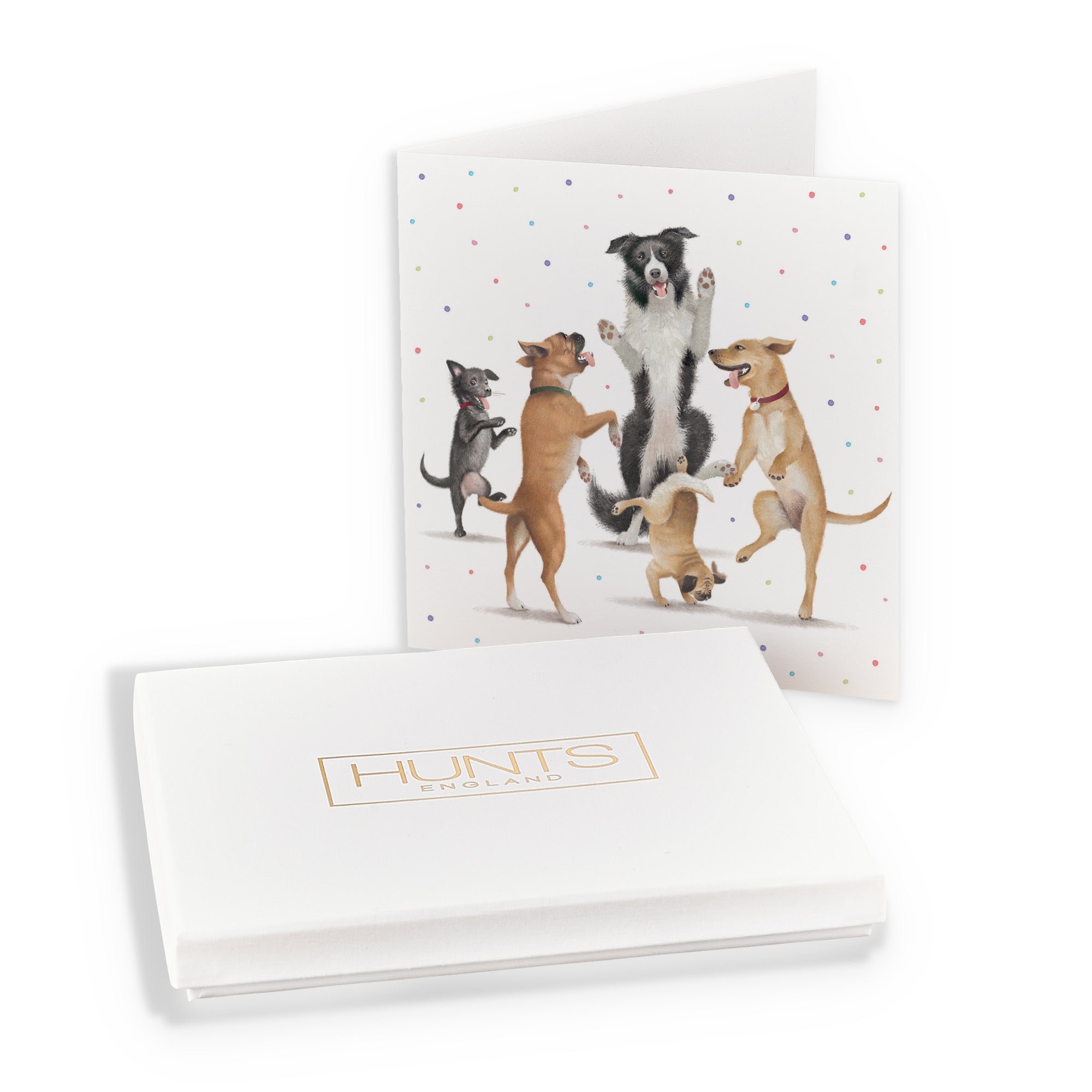 Boxed Dancing Dogs Blank Any Occasion Card Milo's Gallery - Default Title (B0D5R7H4N6)