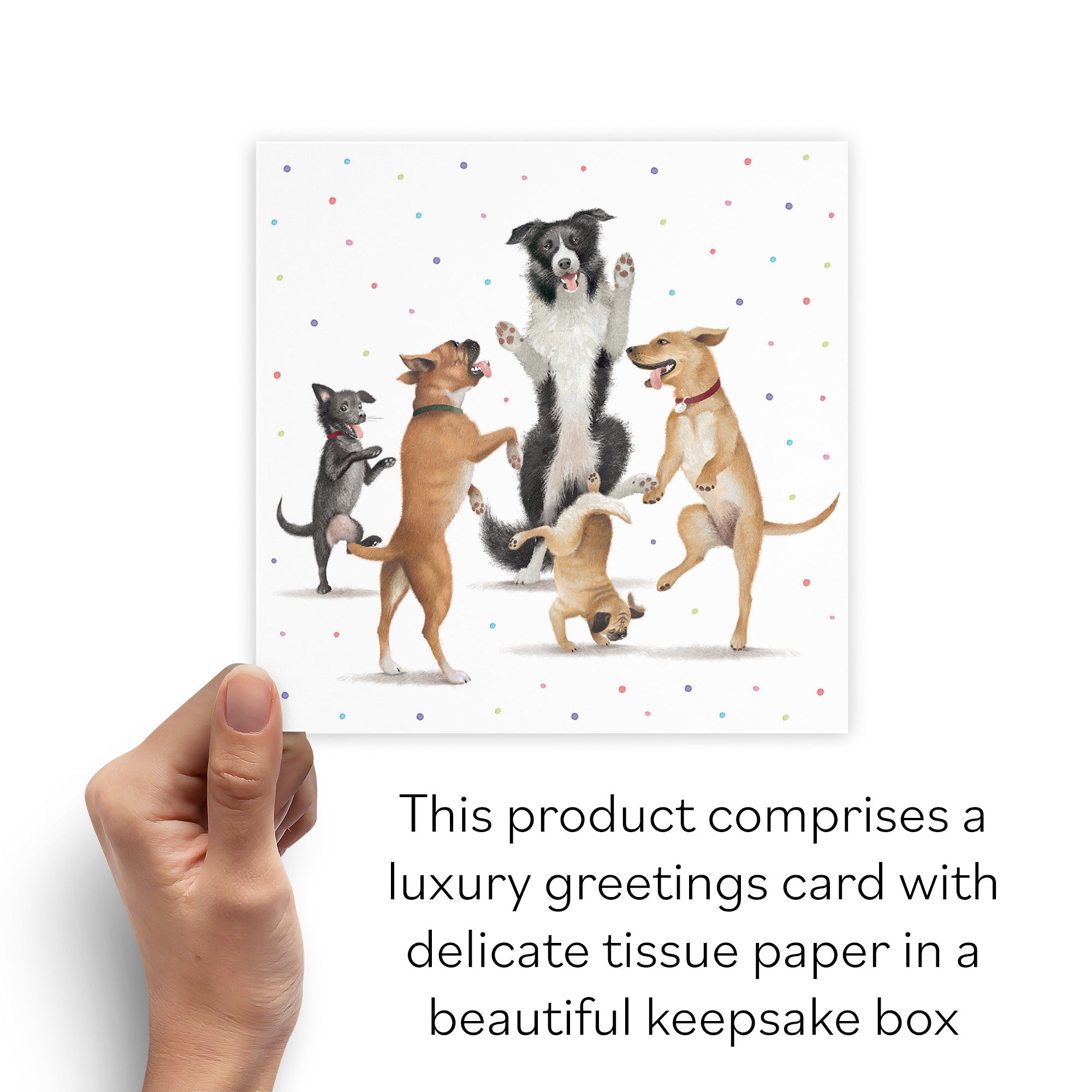 Boxed Dancing Dogs Blank Any Occasion Card Milo's Gallery - Default Title (B0D5R7H4N6)