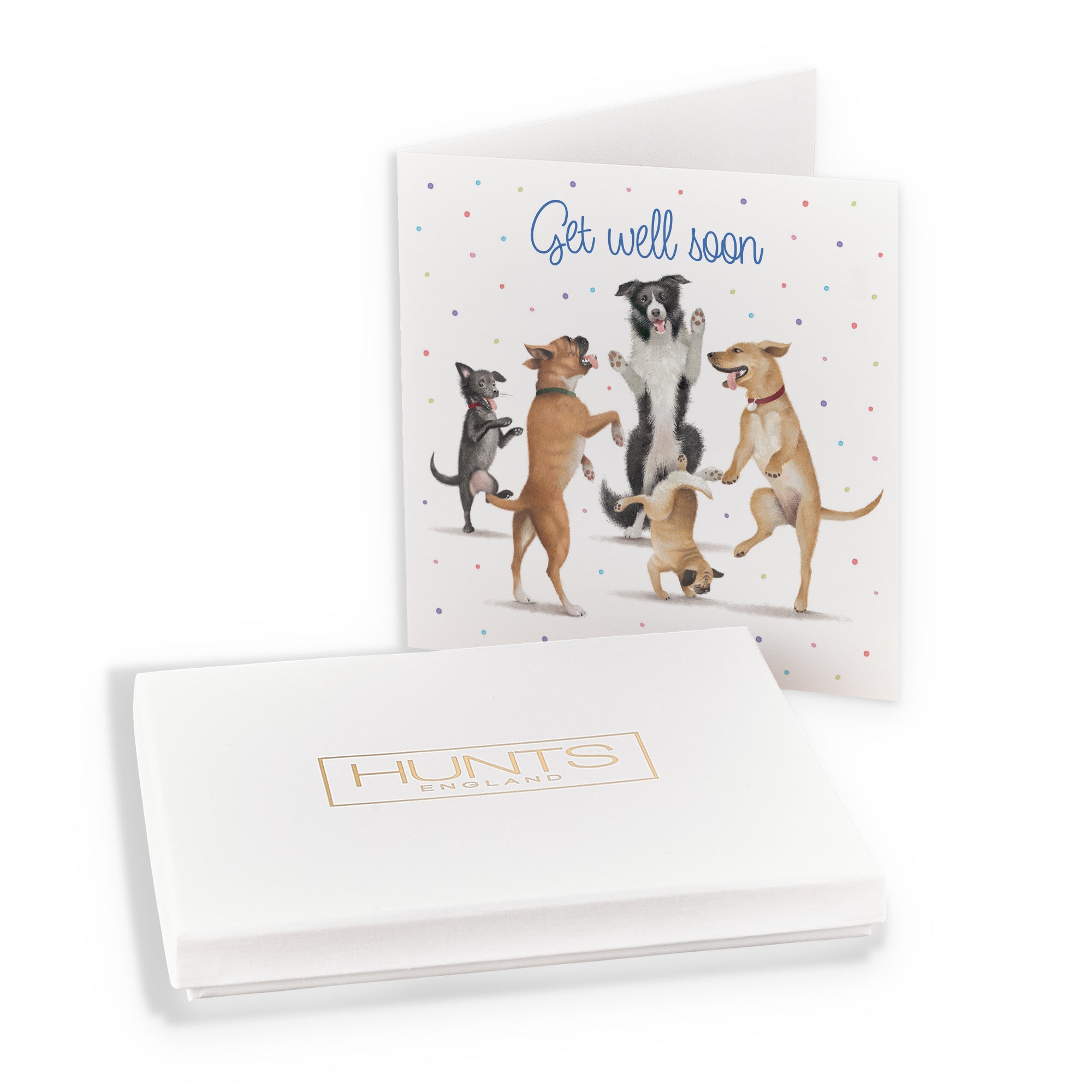 Boxed Get Well Soon Card Dancing Dogs Milo's Gallery - Default Title (B0D5R7TBQ7)