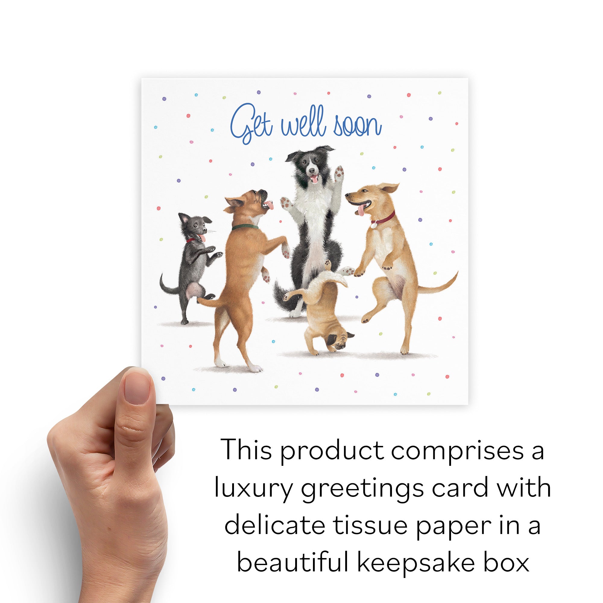 Boxed Get Well Soon Card Dancing Dogs Milo's Gallery - Default Title (B0D5R7TBQ7)