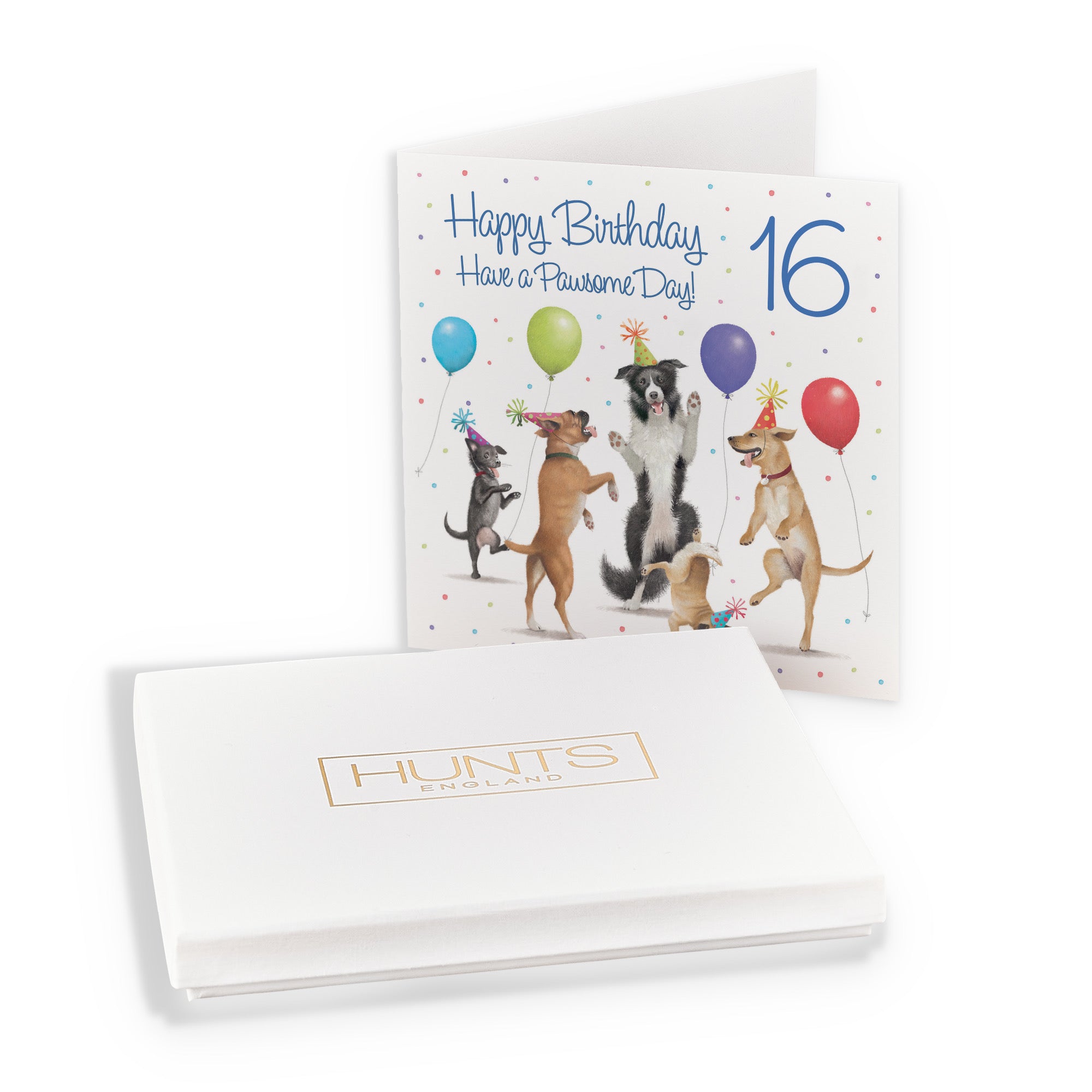 Boxed 16th Birthday Card Dancing Dogs Milo's Gallery - Default Title (B0D5R7ZRZ1)