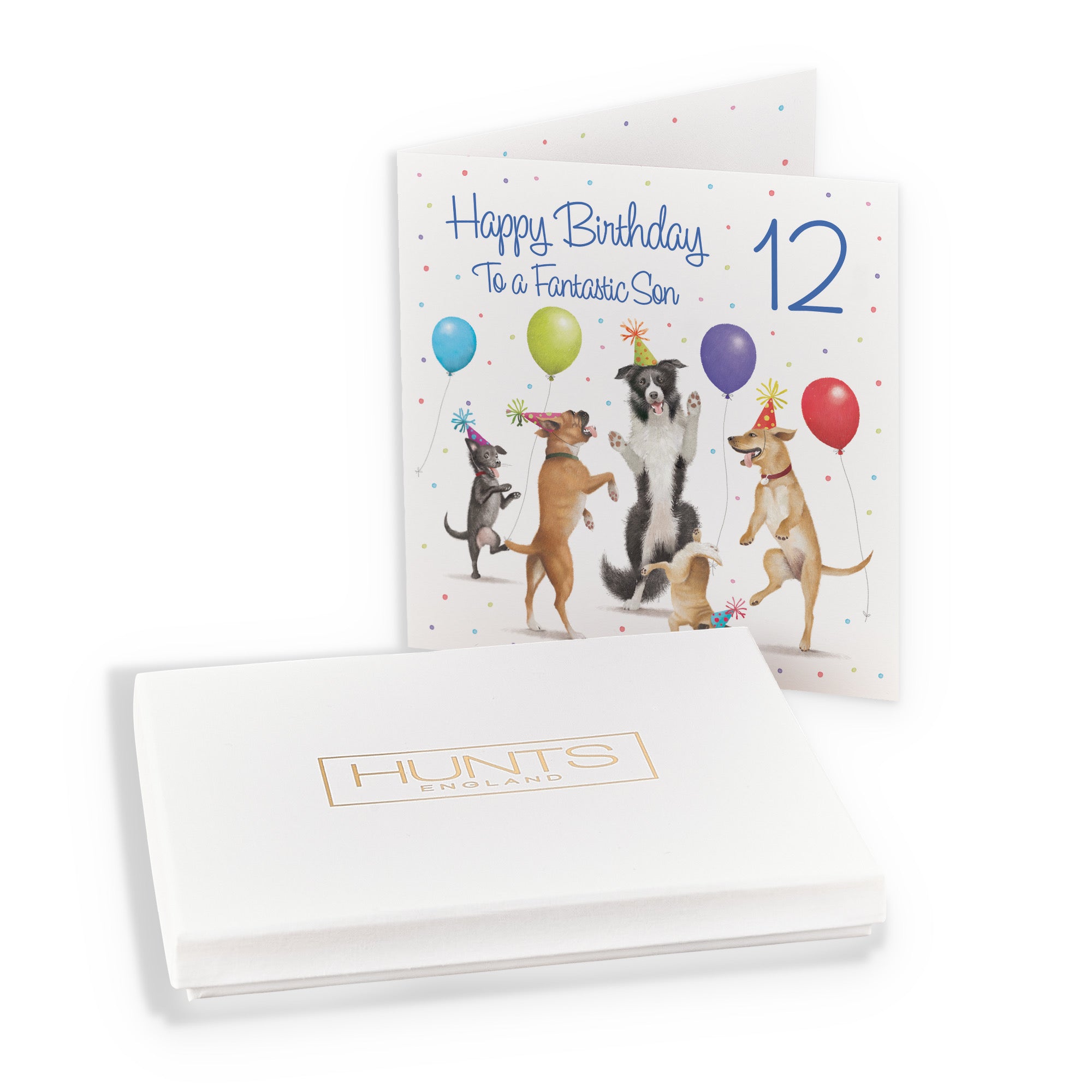 Boxed 12th Son Birthday Card Dancing Dogs Milo's Gallery - Default Title (B0D5R8D39Z)