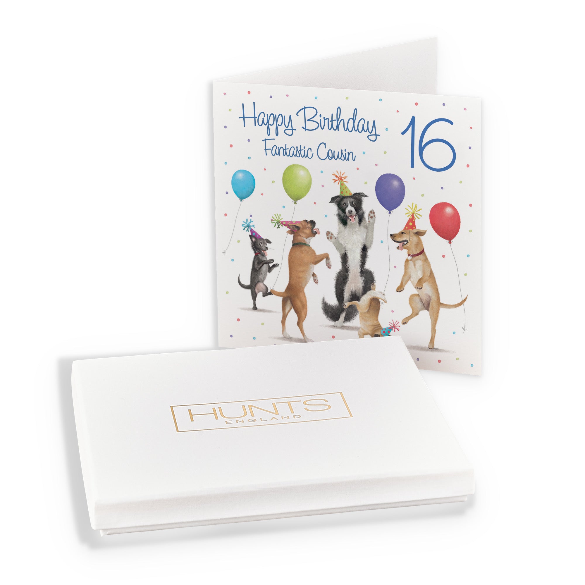 Boxed 16th Cousin Birthday Card Dancing Dogs Milo's Gallery - Default Title (B0D5R8S3M5)