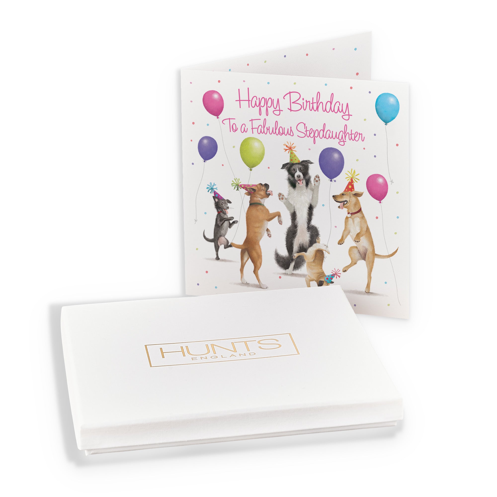 Boxed Stepdaughter Birthday Card Dancing Dogs Milo's Gallery - Default Title (B0D5R9NC9R)