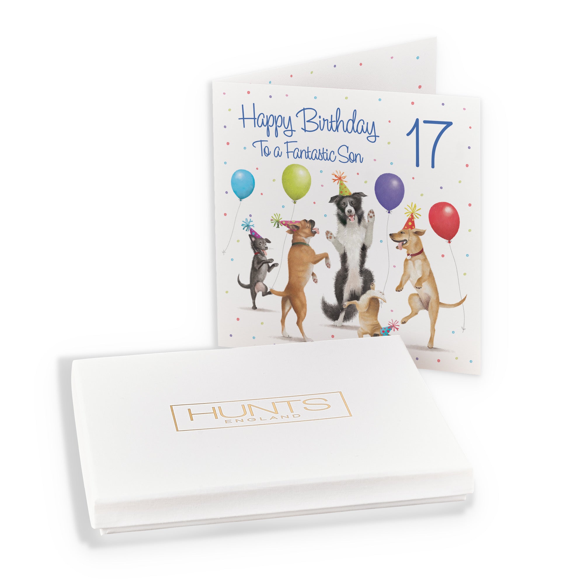 Boxed 17th Son Birthday Card Dancing Dogs Milo's Gallery - Default Title (B0D5R9XW6Q)