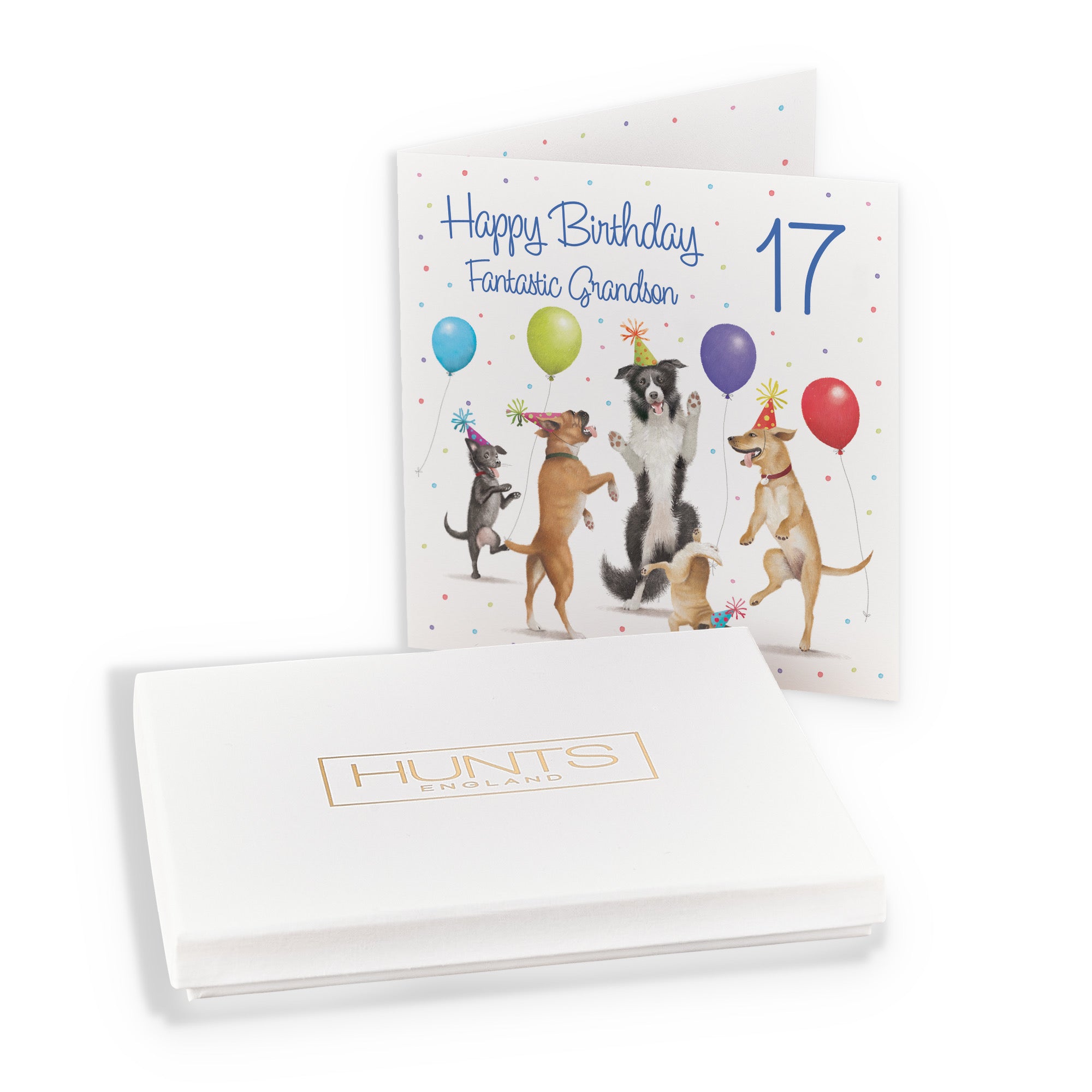 Boxed 17th Grandson Birthday Card Dancing Dogs Milo's Gallery - Default Title (B0D5RB4FFP)