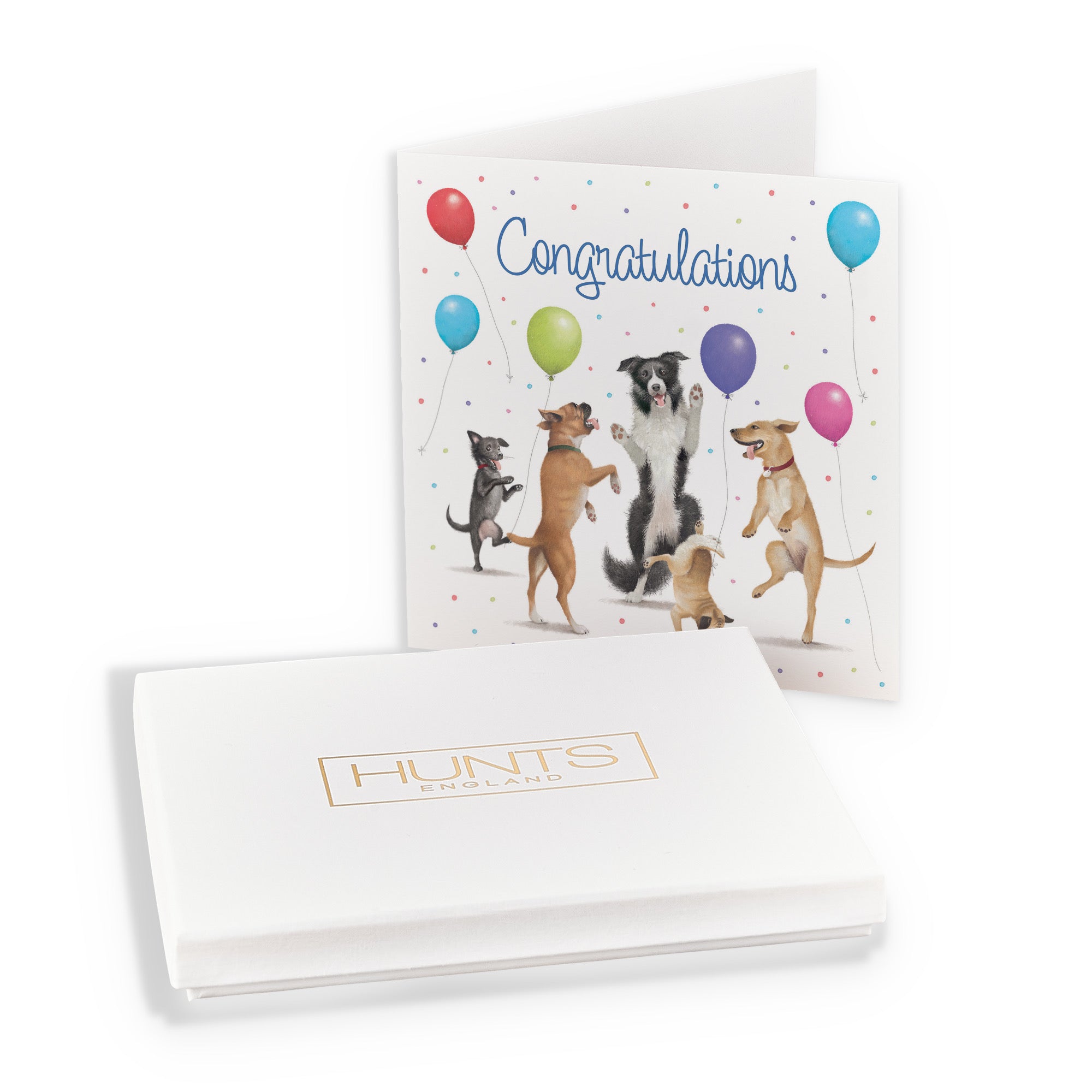 Boxed Congratulations Card Dancing Dogs Milo's Gallery - Default Title (B0D5RB4TPM)