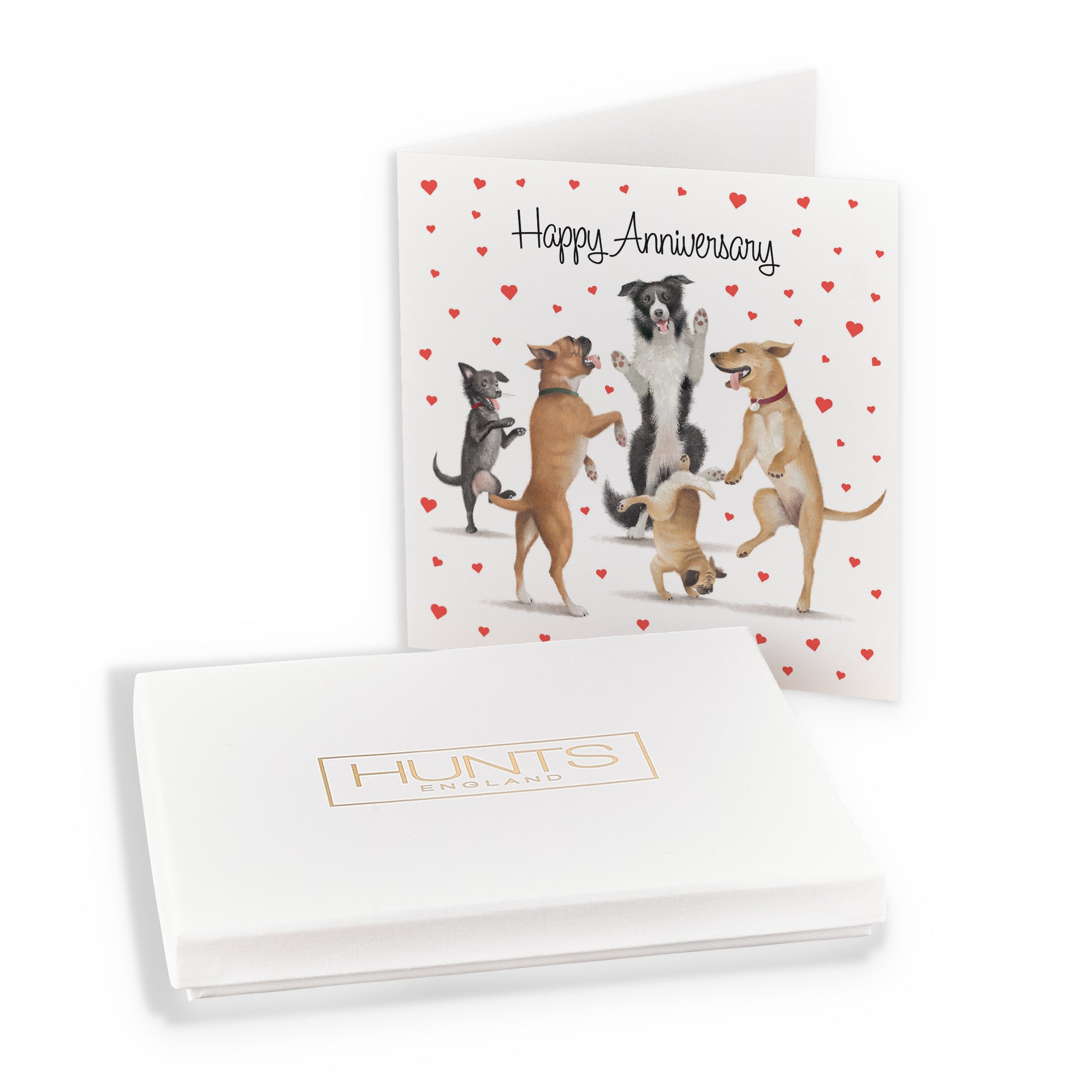 Boxed Dancing Dogs Anniversary Card Milo's Gallery - Default Title (B0D5RB61JB)