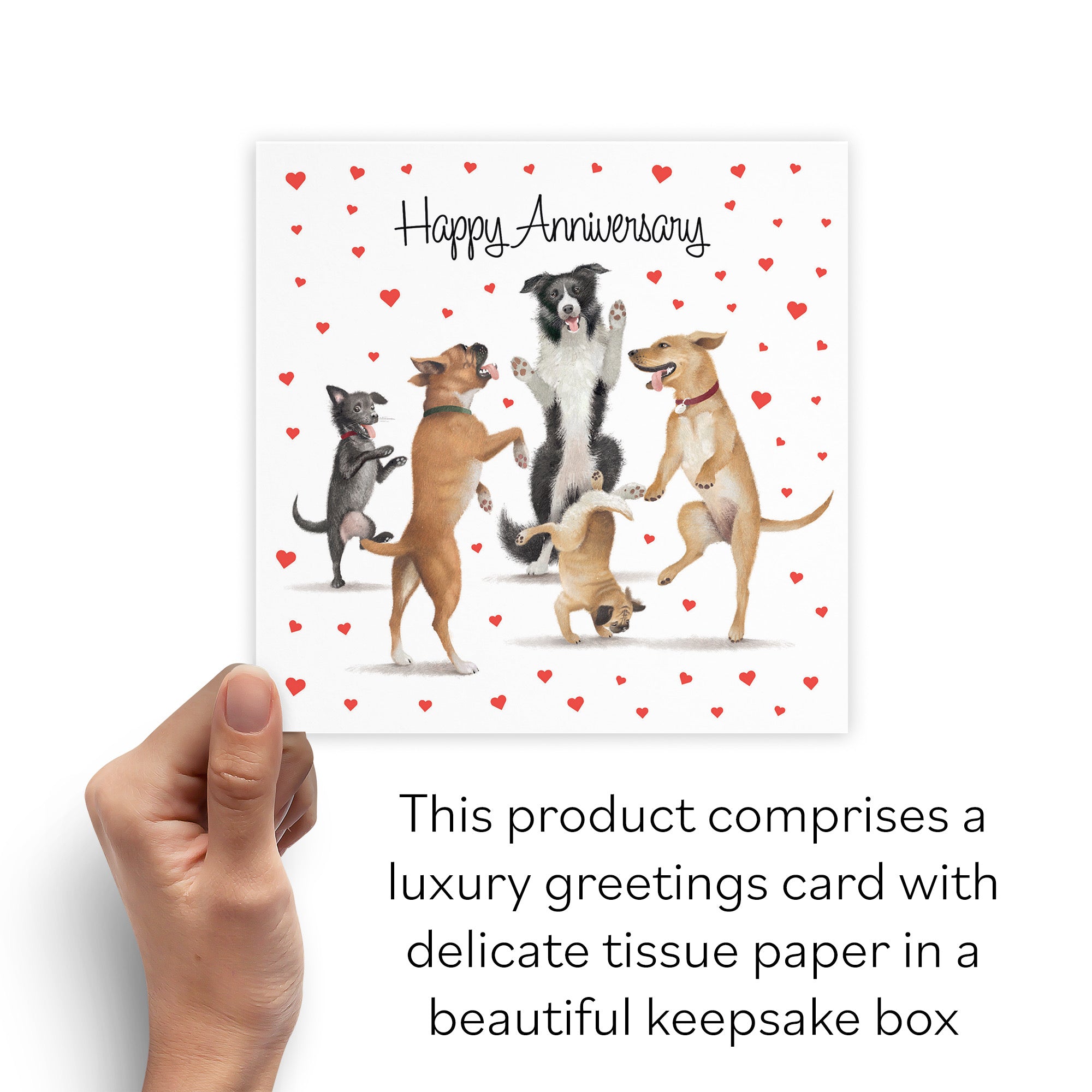 Boxed Dancing Dogs Anniversary Card Milo's Gallery - Default Title (B0D5RB61JB)