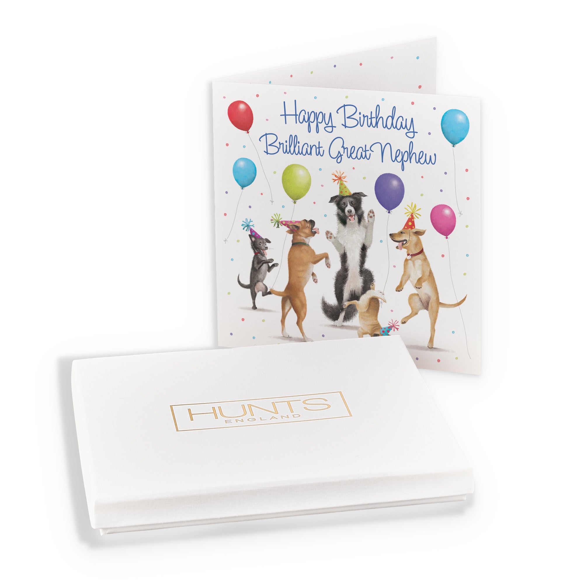 Boxed Great Nephew Birthday Card Dancing Dogs Milo's Gallery - Default Title (B0D5RB855N)