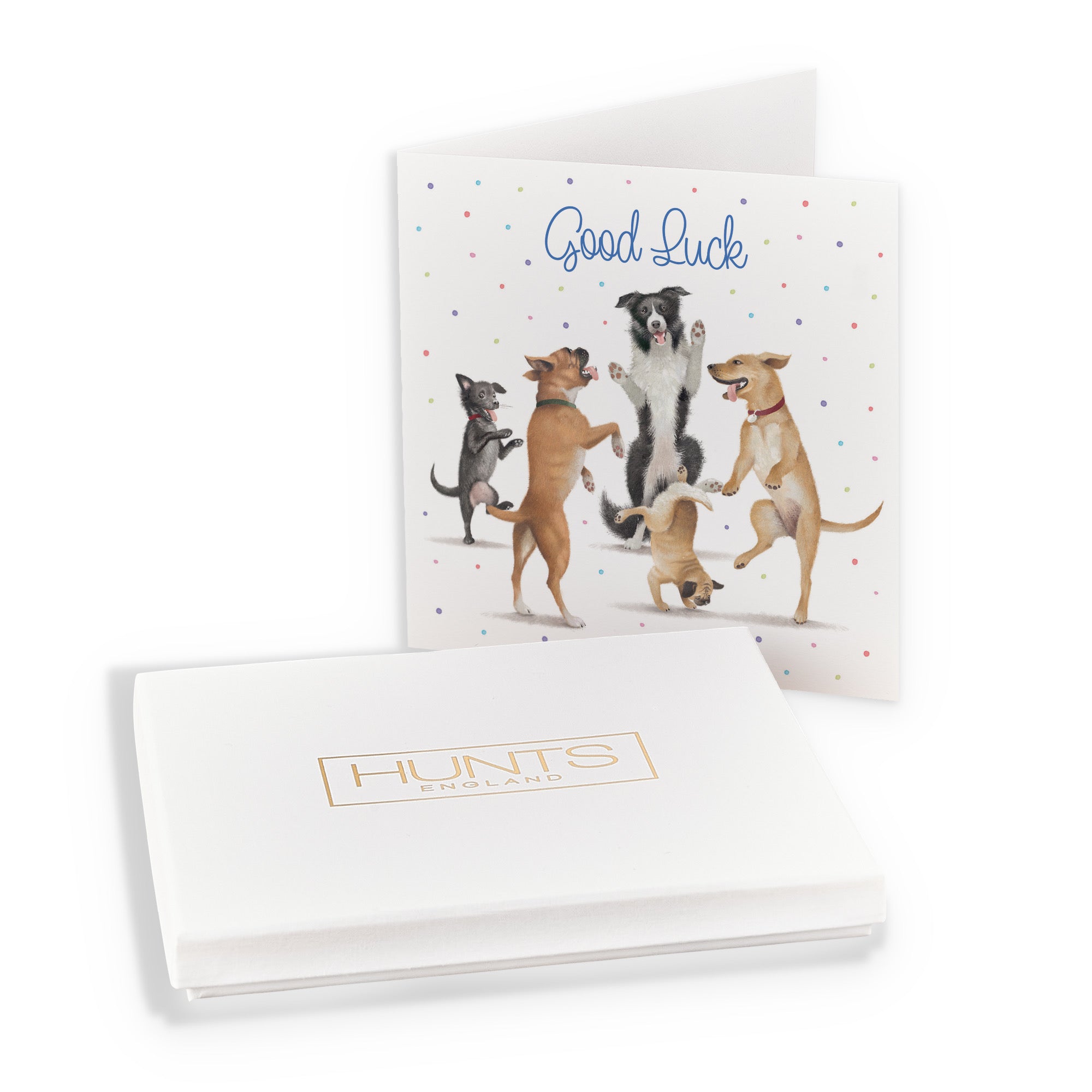 Boxed Good Luck Card Dancing Dogs Milo's Gallery - Default Title (B0D5RBKGZZ)