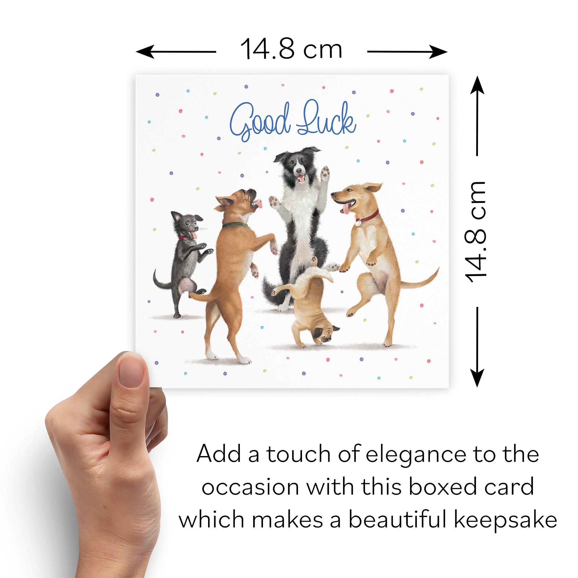 Boxed Good Luck Card Dancing Dogs Milo's Gallery - Default Title (B0D5RBKGZZ)