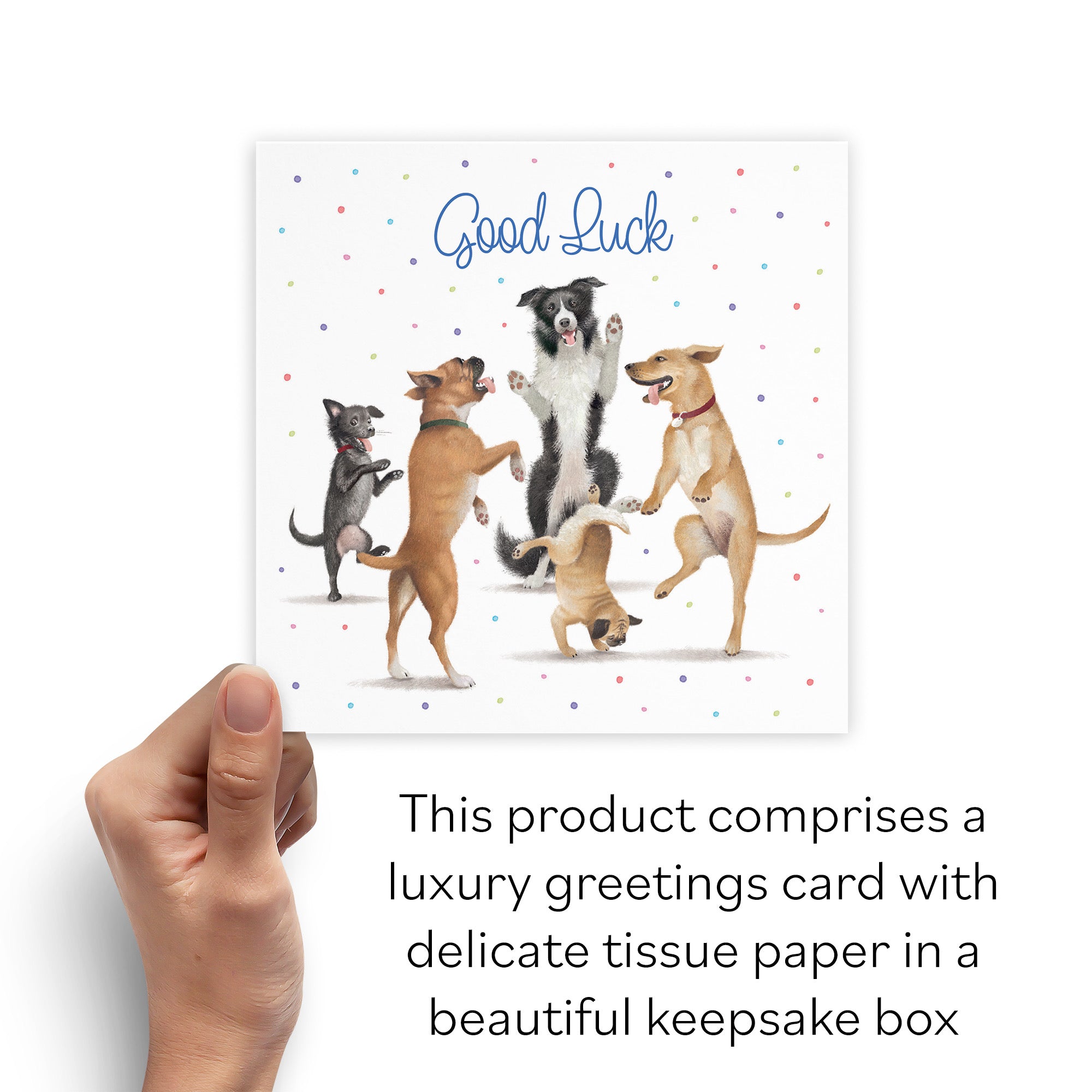 Boxed Good Luck Card Dancing Dogs Milo's Gallery - Default Title (B0D5RBKGZZ)