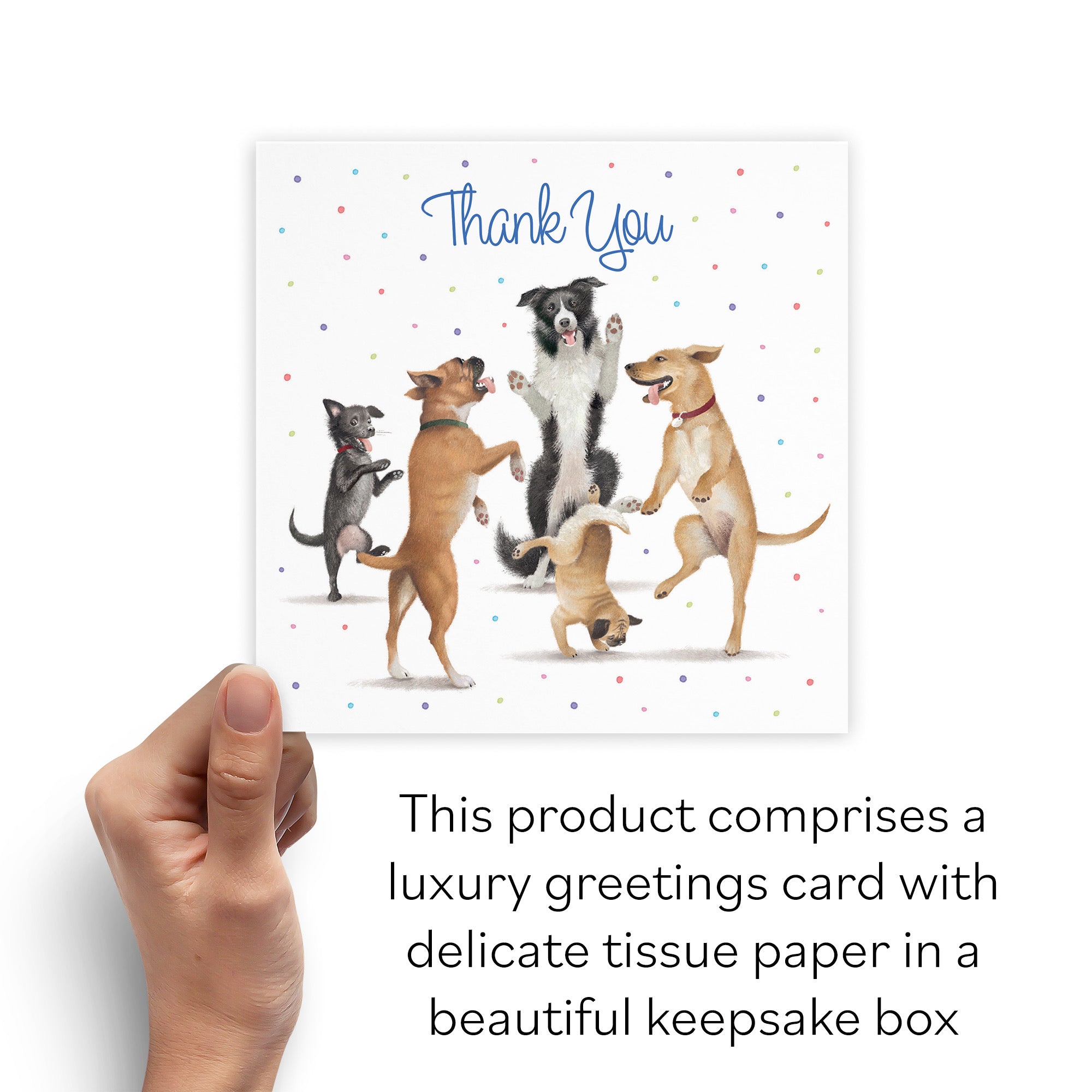 Boxed Thank You Card Dancing Dogs Milo's Gallery - Default Title (B0D5RC42M5)