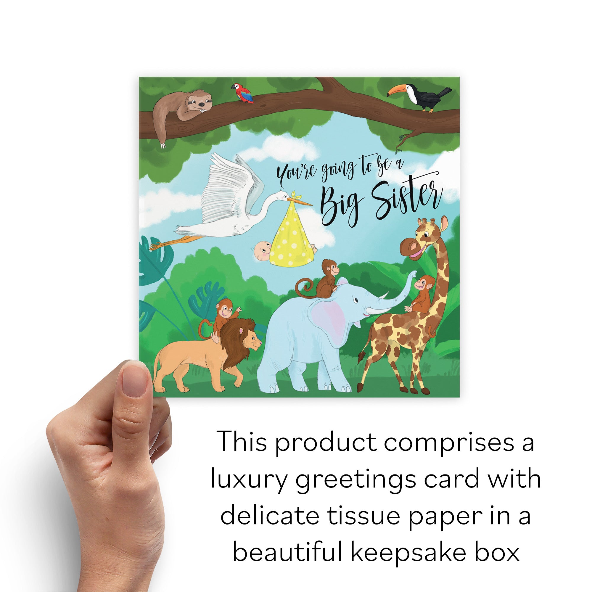 Boxed New Baby Announcement Big Sister Card For Daughter Stork Jungle - Default Title (B0D5RK8JVB)