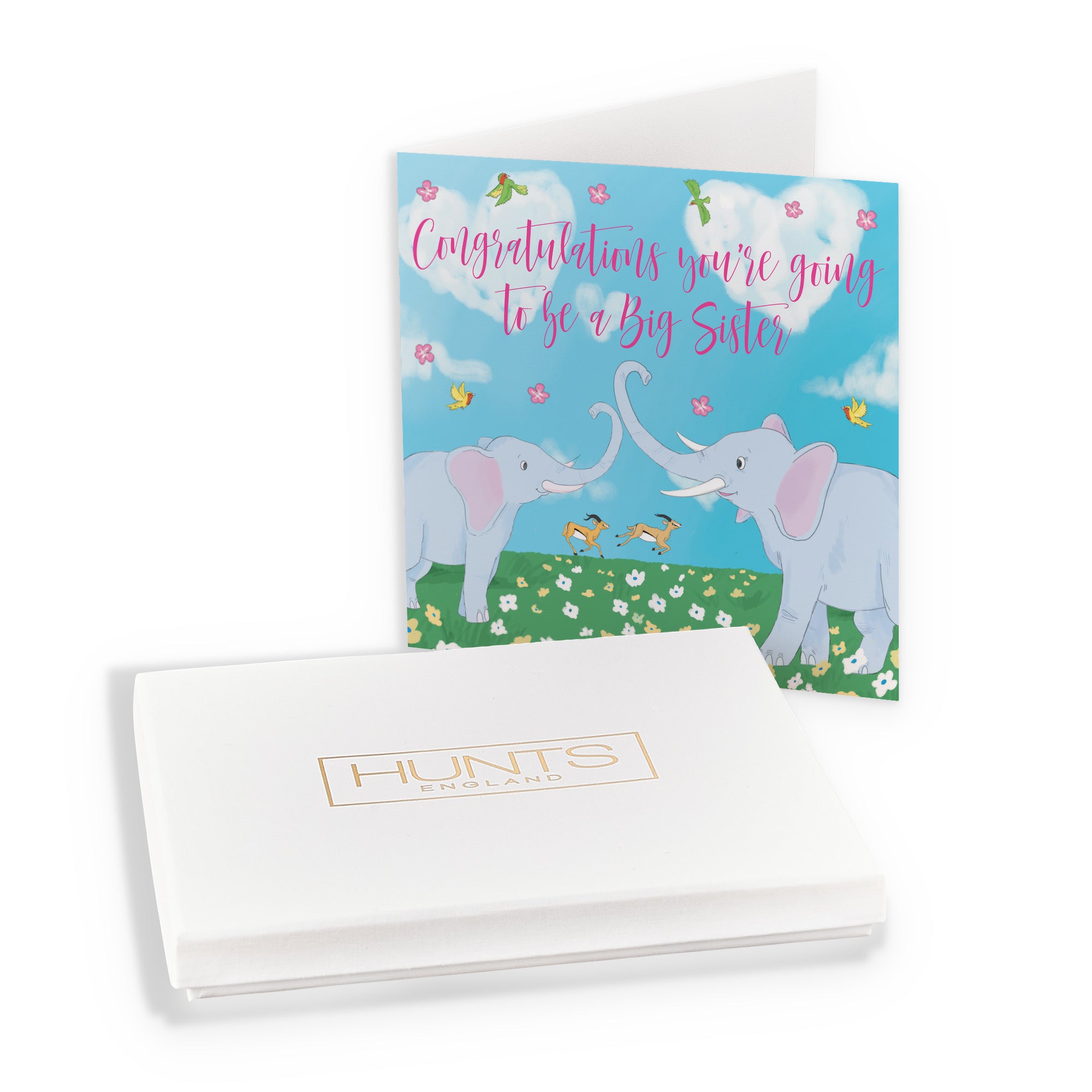 Boxed New Baby Pregnancy Announcement Big Sister Card Two Elephants Cute Animals - Default Title (B0D5RL1JZ4)