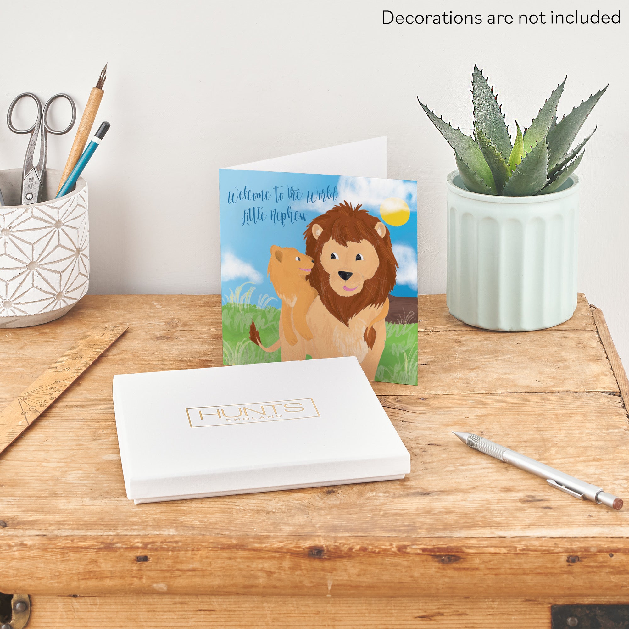 Boxed Welcome To The World Little Nephew Card Cute Lions Jungle - Default Title (B0D5RLXD5H)