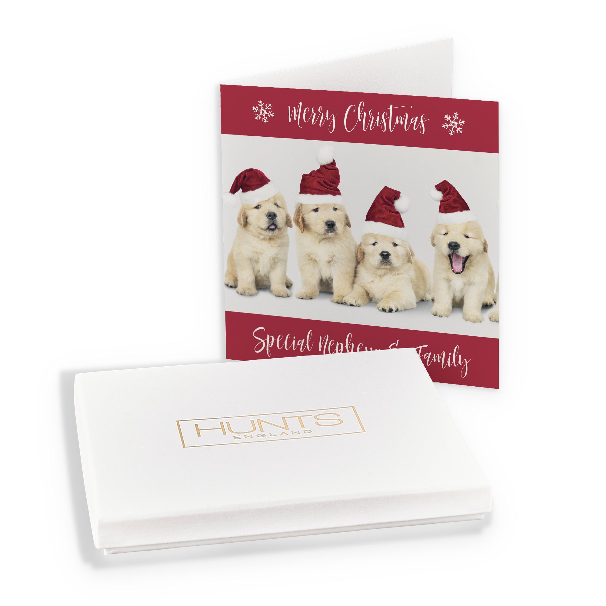 Boxed Nephew And Family Puppy Christmas Card - Default Title (B0D5RMM196)