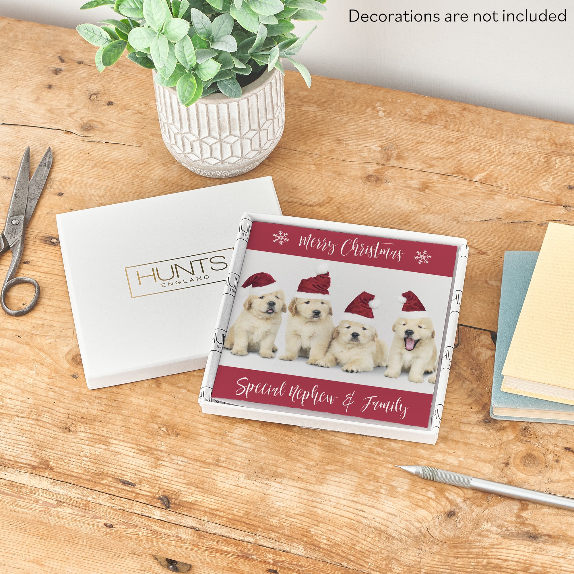 Boxed Nephew And Family Puppy Christmas Card - Default Title (B0D5RMM196)