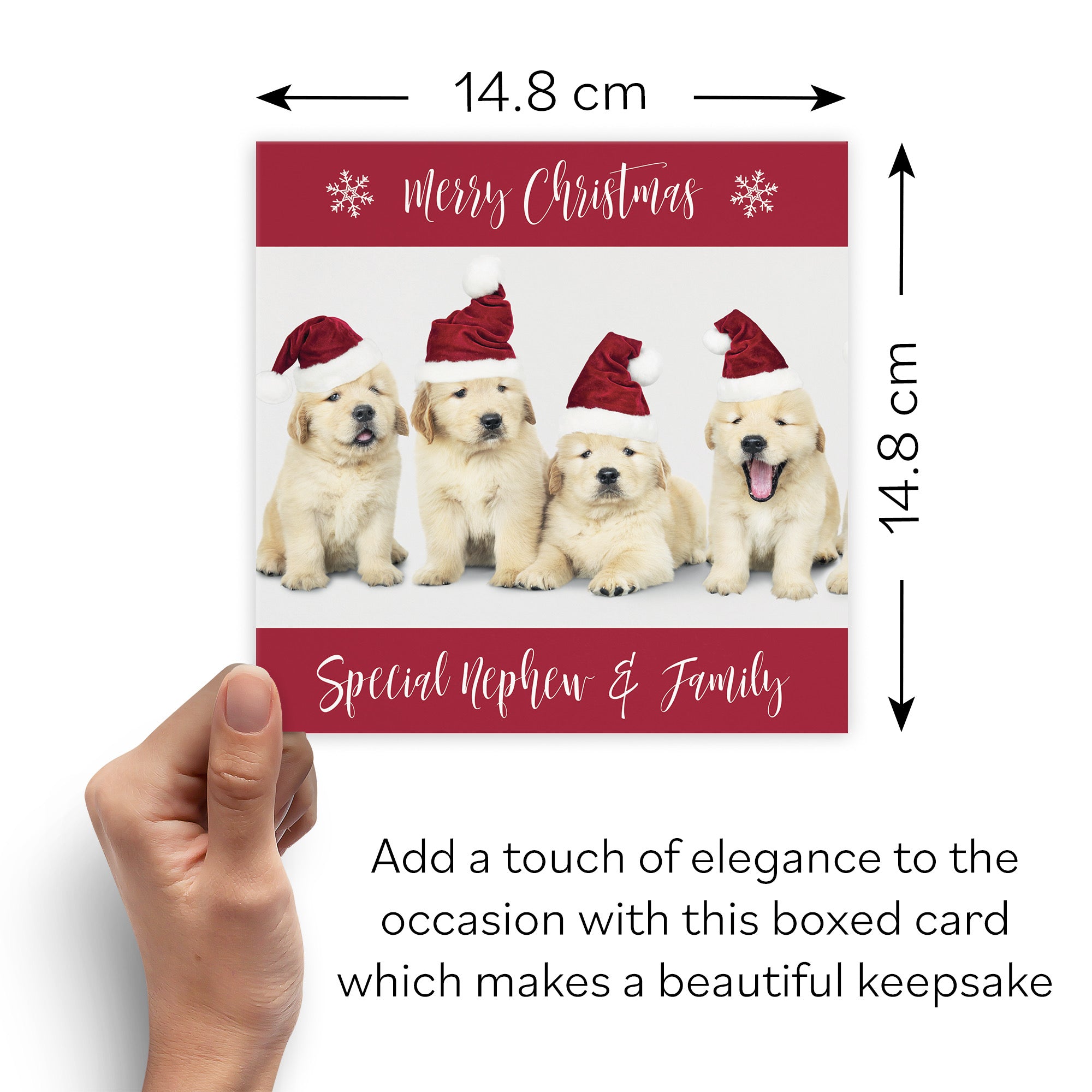 Boxed Nephew And Family Puppy Christmas Card - Default Title (B0D5RMM196)