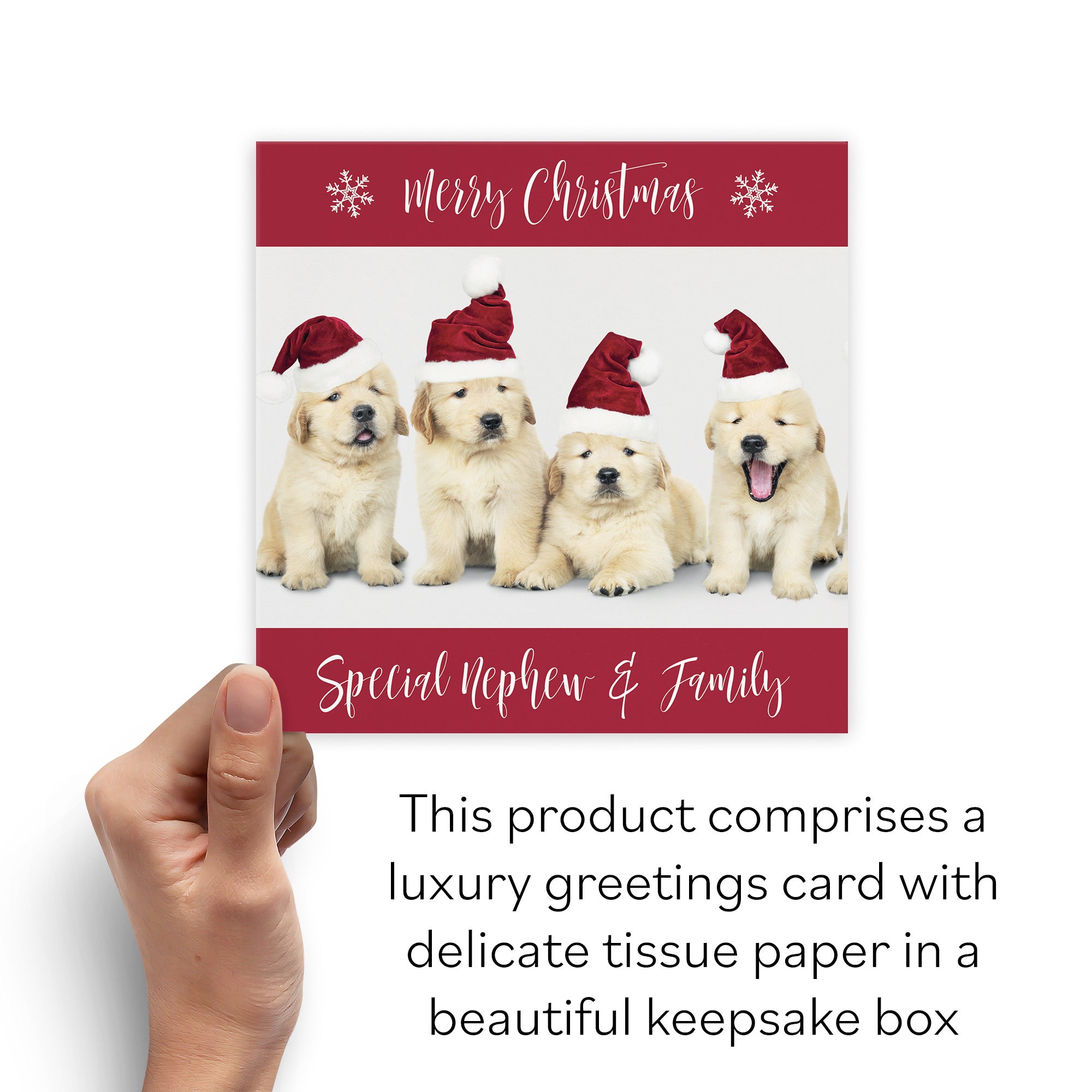 Boxed Nephew And Family Puppy Christmas Card - Default Title (B0D5RMM196)