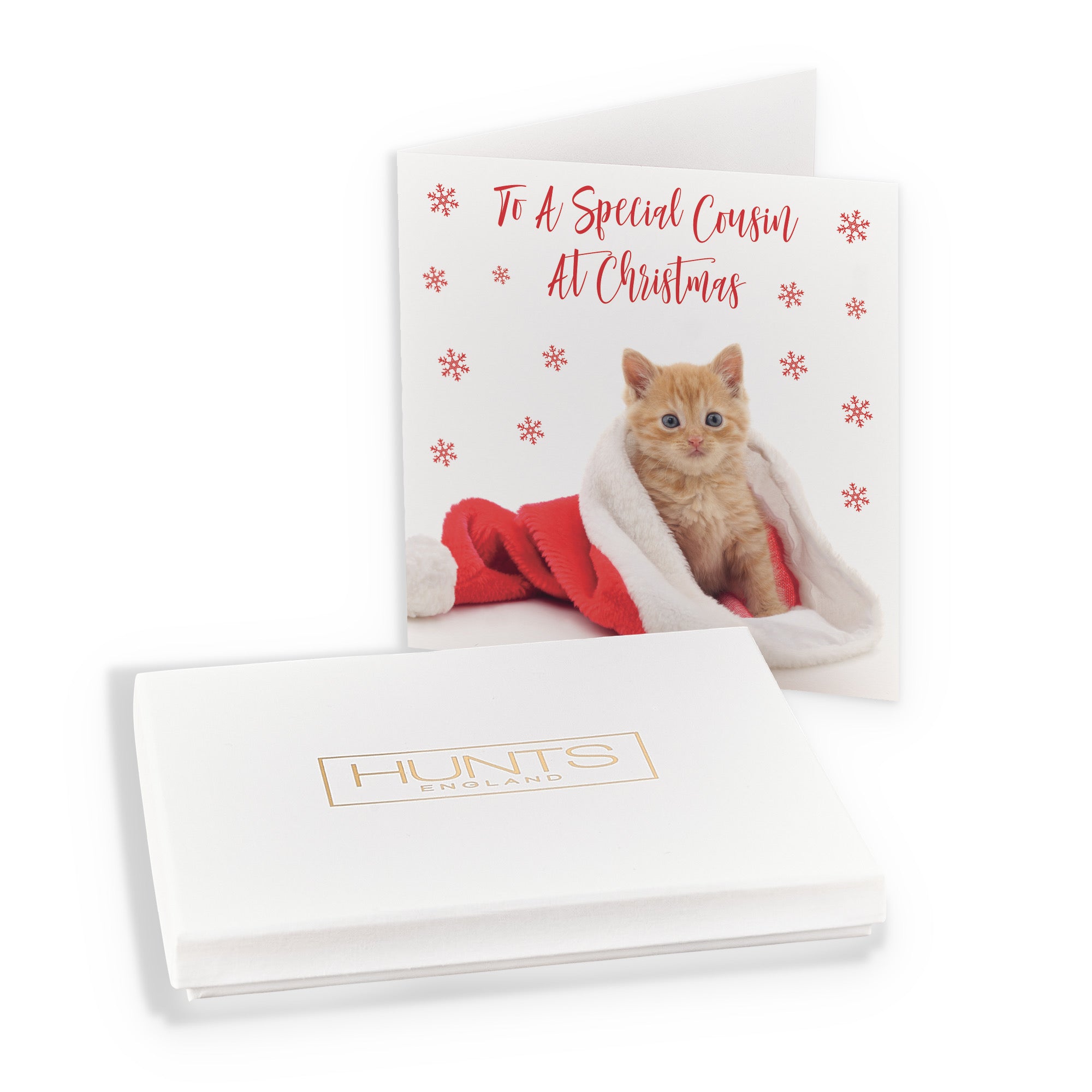 Boxed Cousin Kitten Christmas Card - Default Title (B0D5RMPBQB)