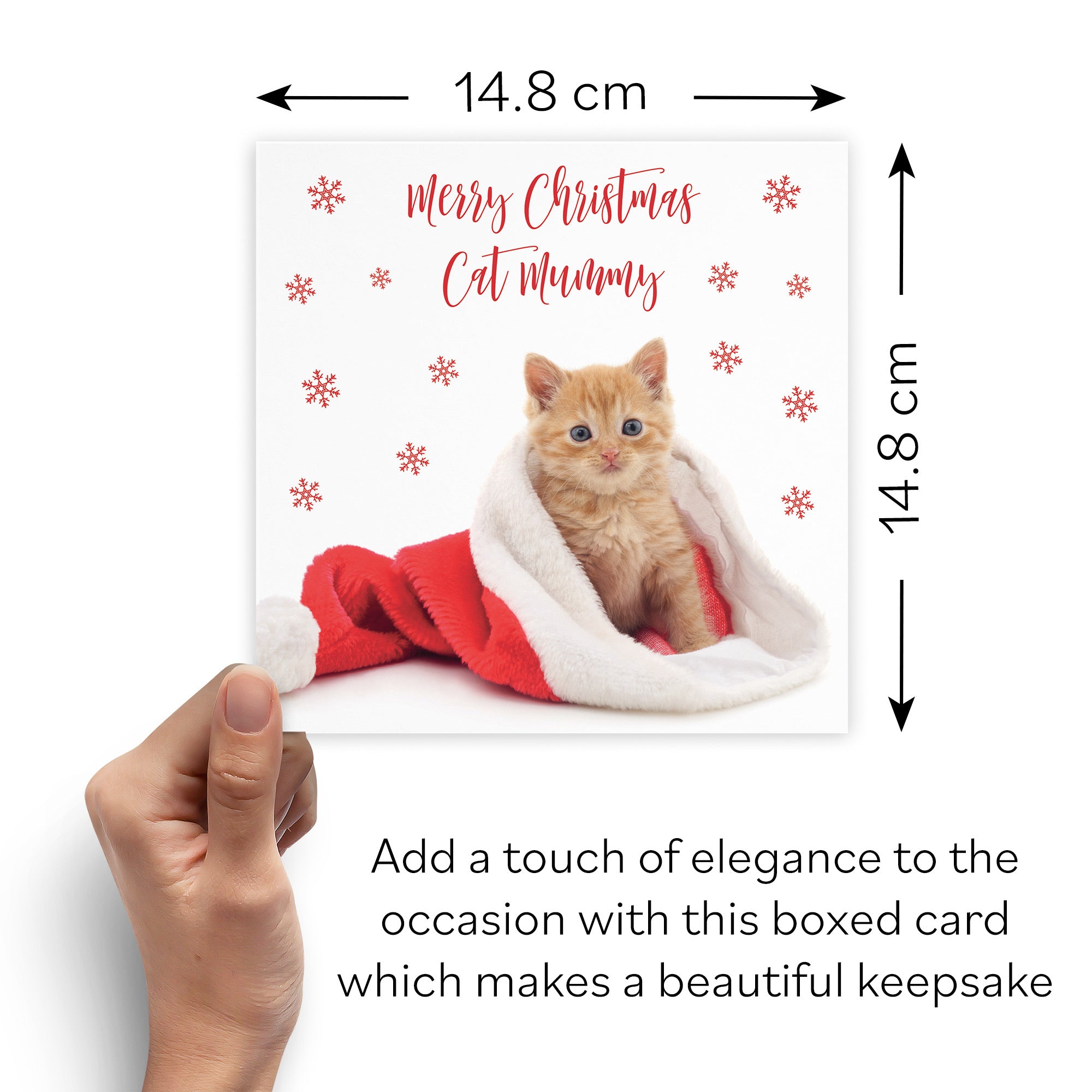 Boxed Cat Mummy Kitten Pet Christmas Card - Default Title (B0D5RN3N9F)