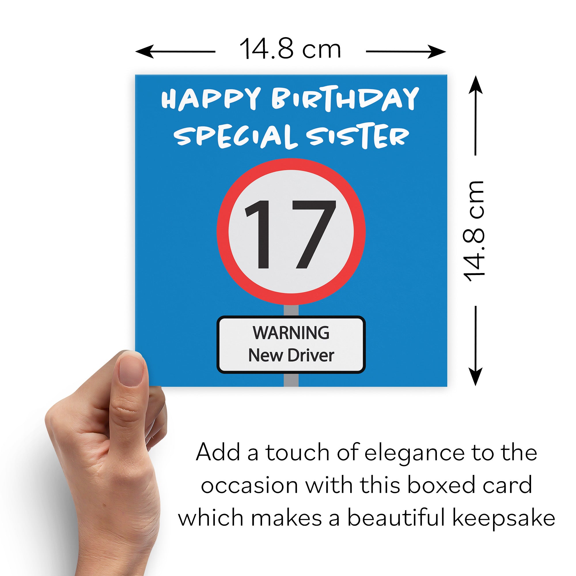 Boxed 17th Sister Birthday Card Road Sign - Default Title (B0D5RNKF56)