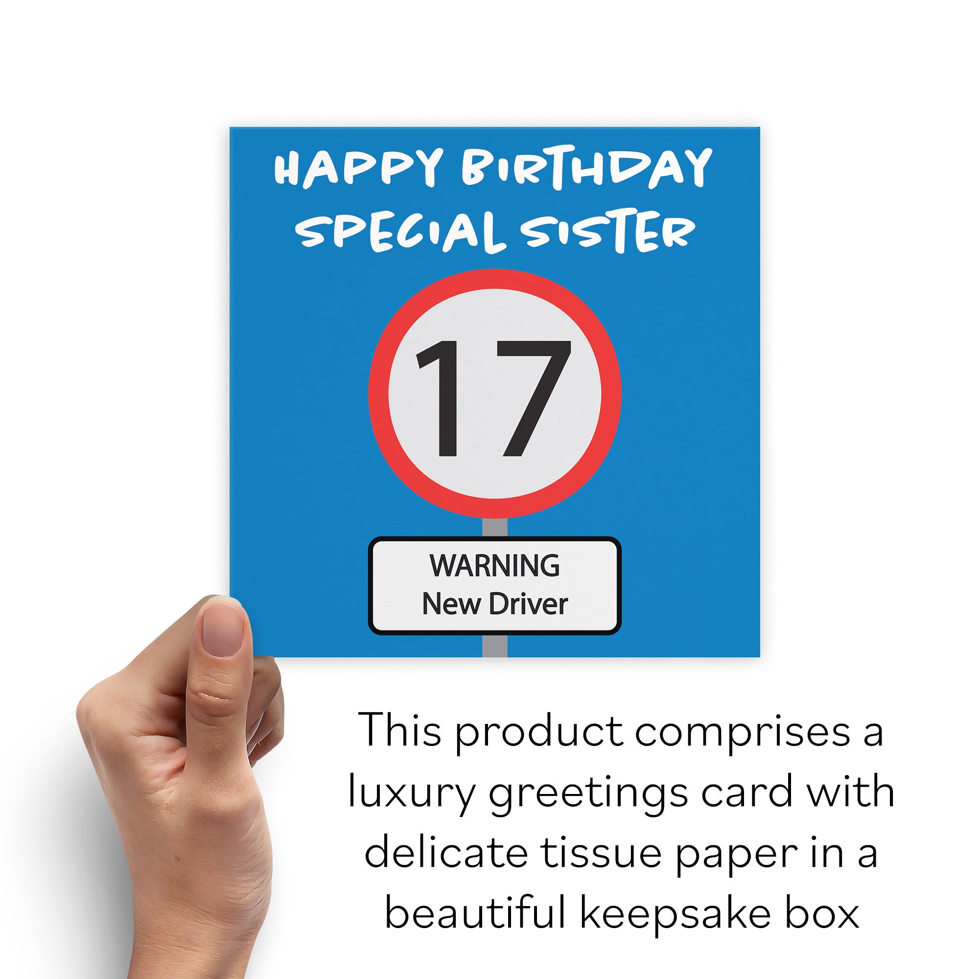 Boxed 17th Sister Birthday Card Road Sign - Default Title (B0D5RNKF56)