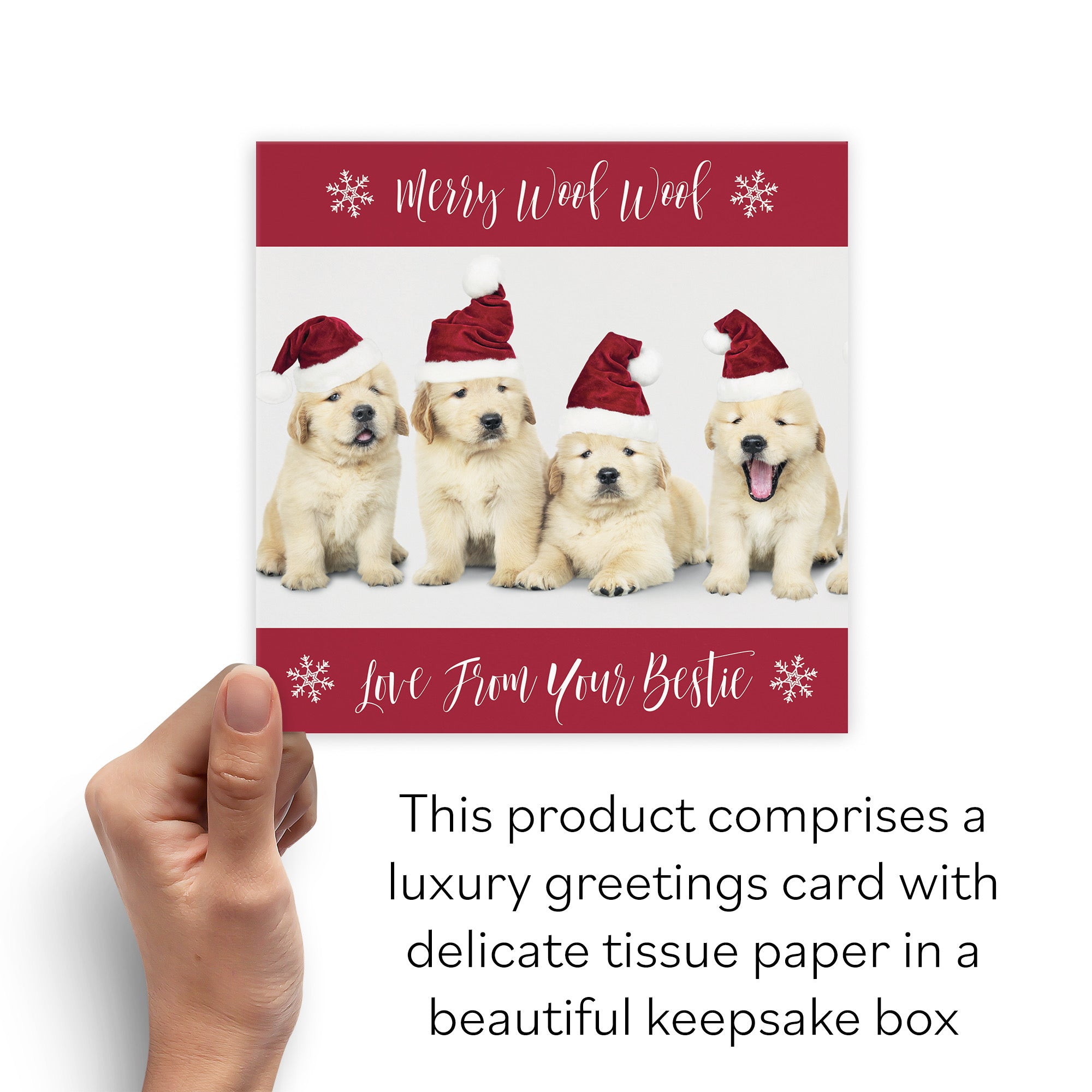 Boxed Woof Woof Pet Puppy Christmas Card - Default Title (B0D5RP24GH)