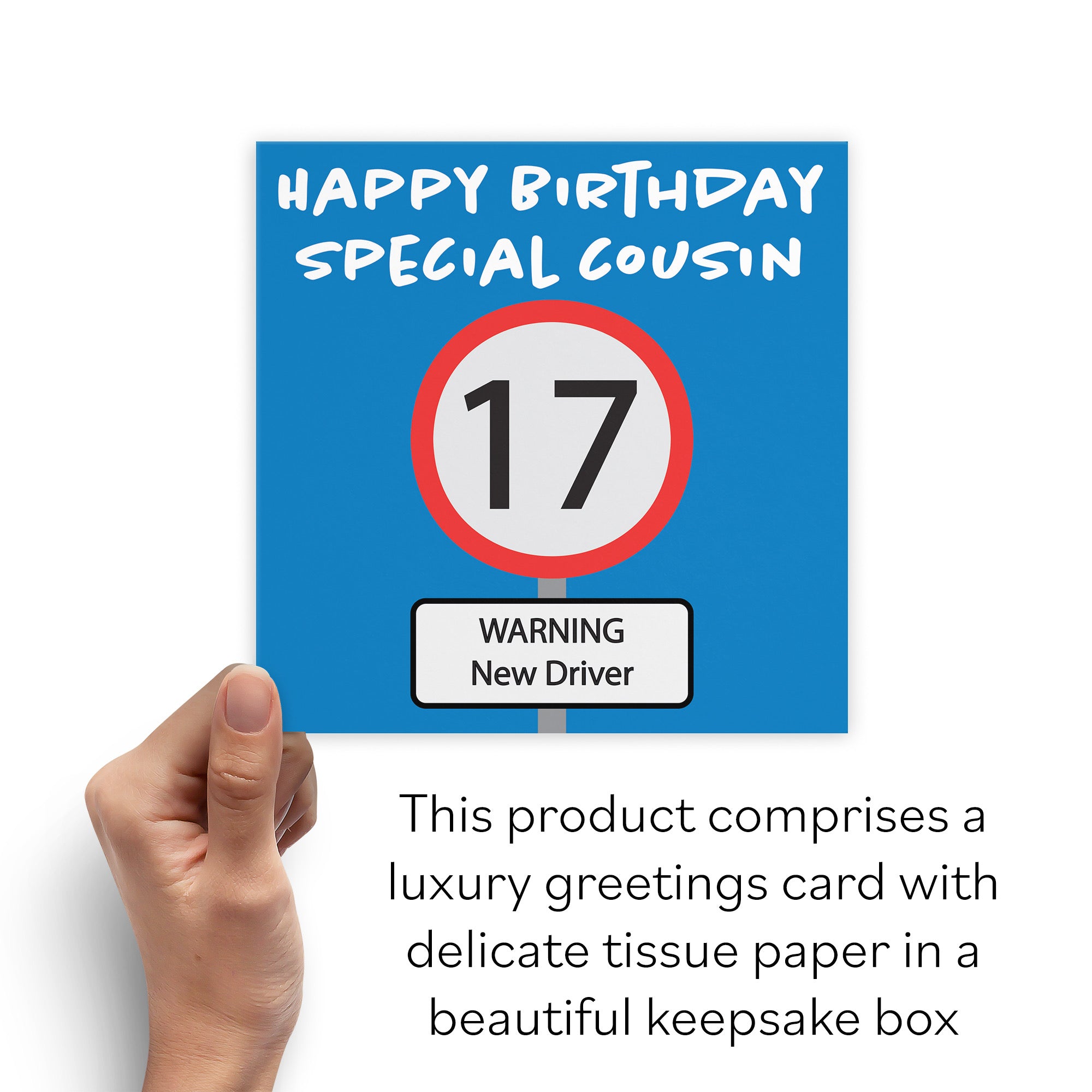 Boxed 17th Cousin Birthday Card Road Sign - Default Title (B0D5RZ8L6Y)